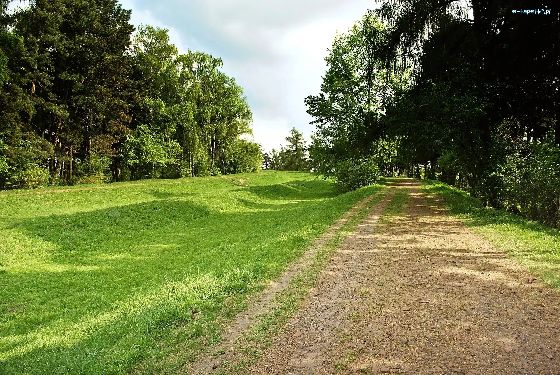 Wrocław, Park