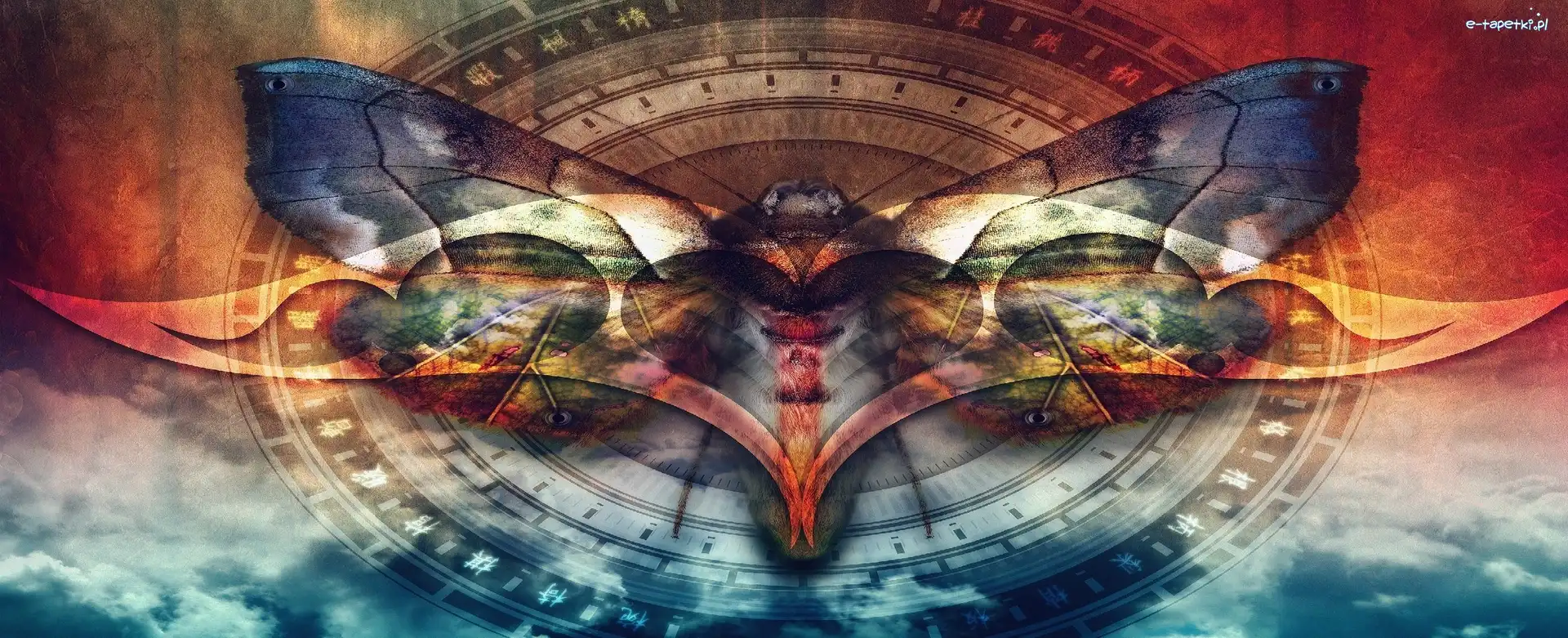 Znak, Motyl, Kolorowy