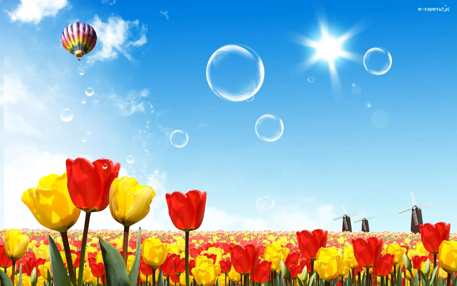 Wiosna, Balon, Tulipany