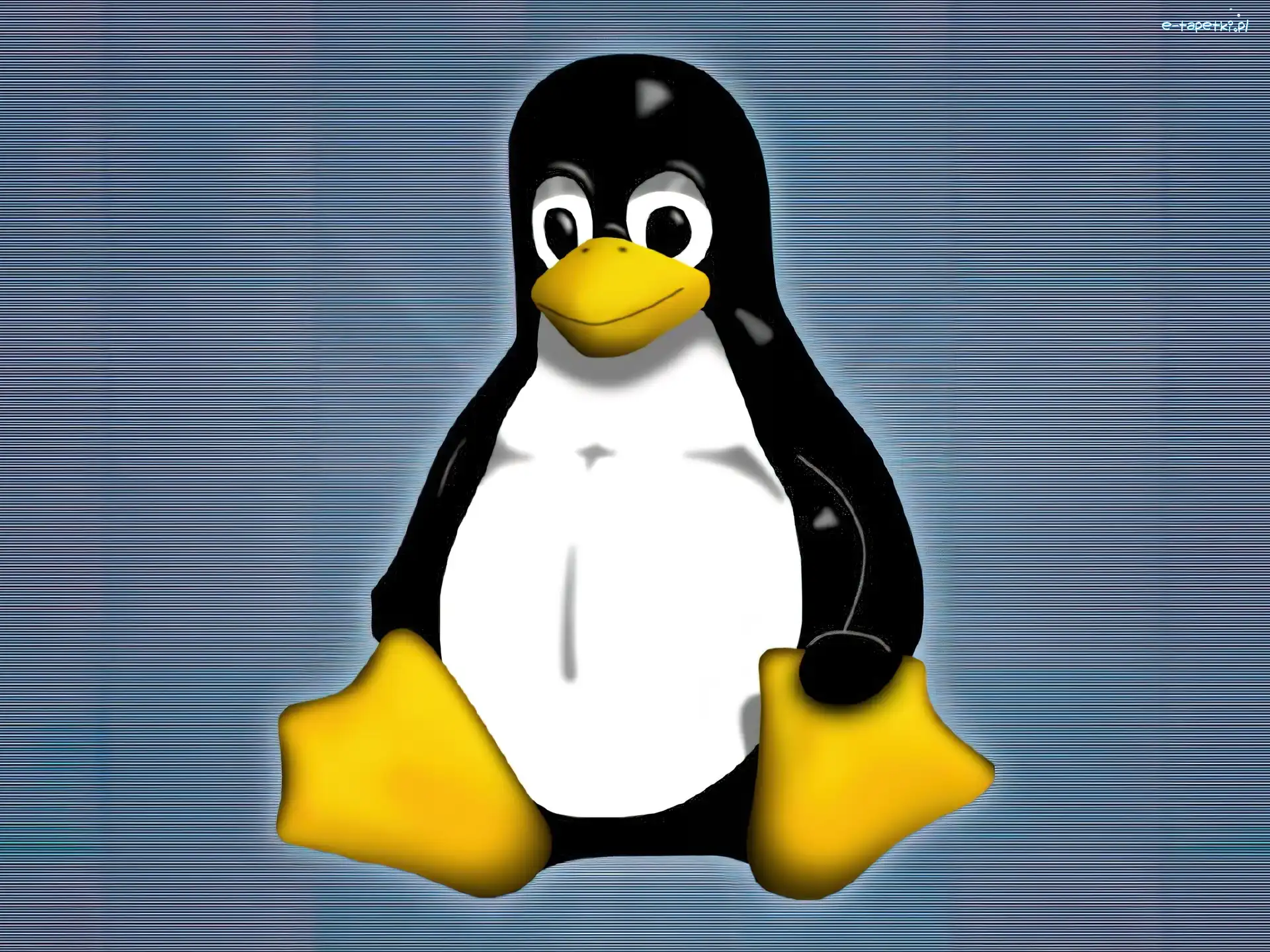 Pingwinek, Tło, Niebieskie, Linux