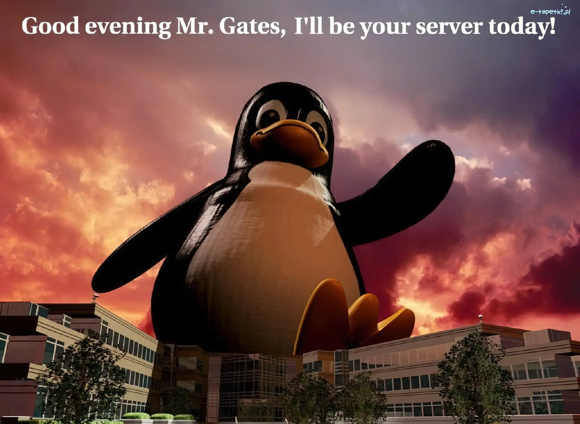 Pingwin, Potężny, Linux