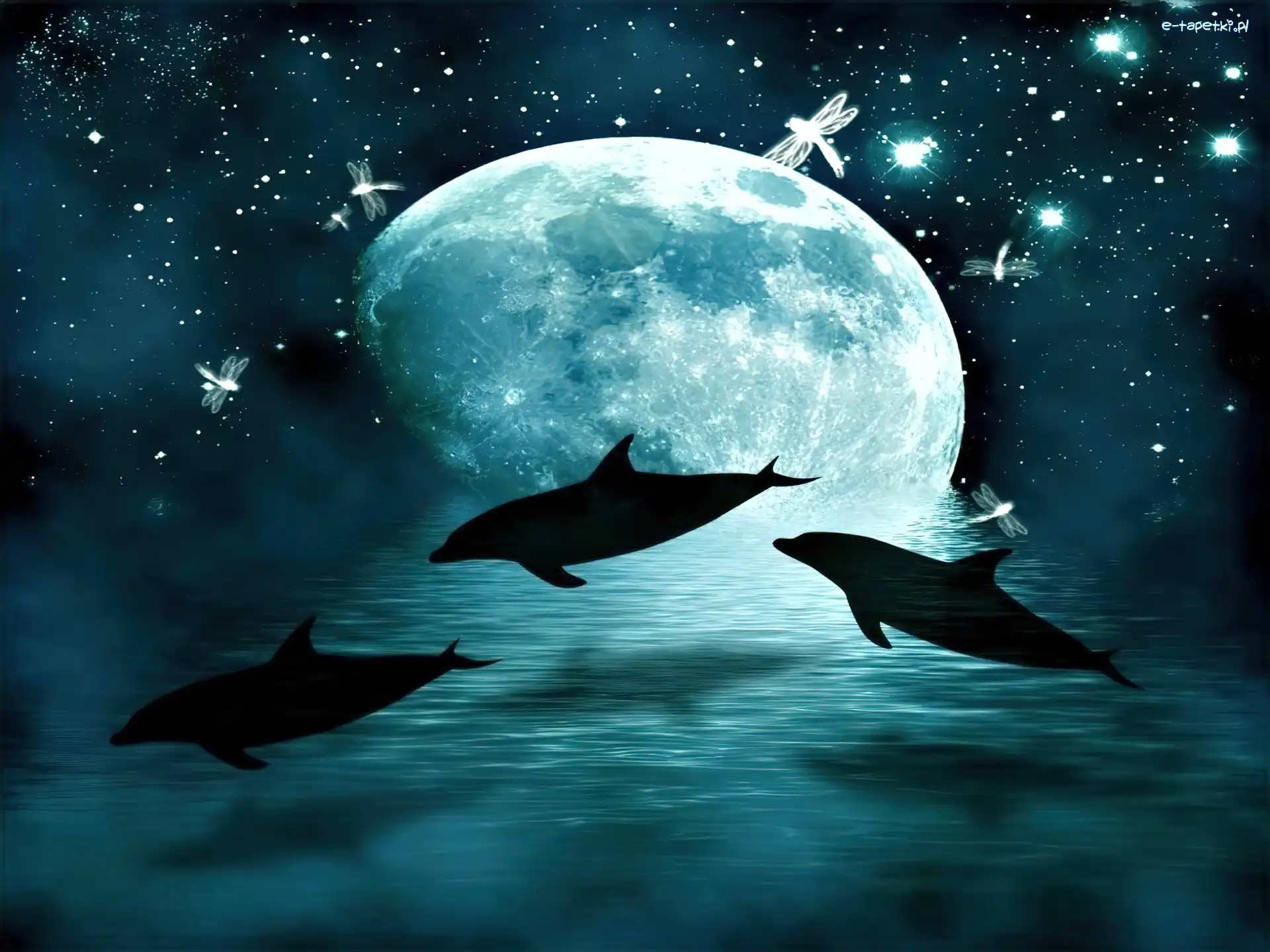 Delfiny, Fantasy, Planeta, Trzy
