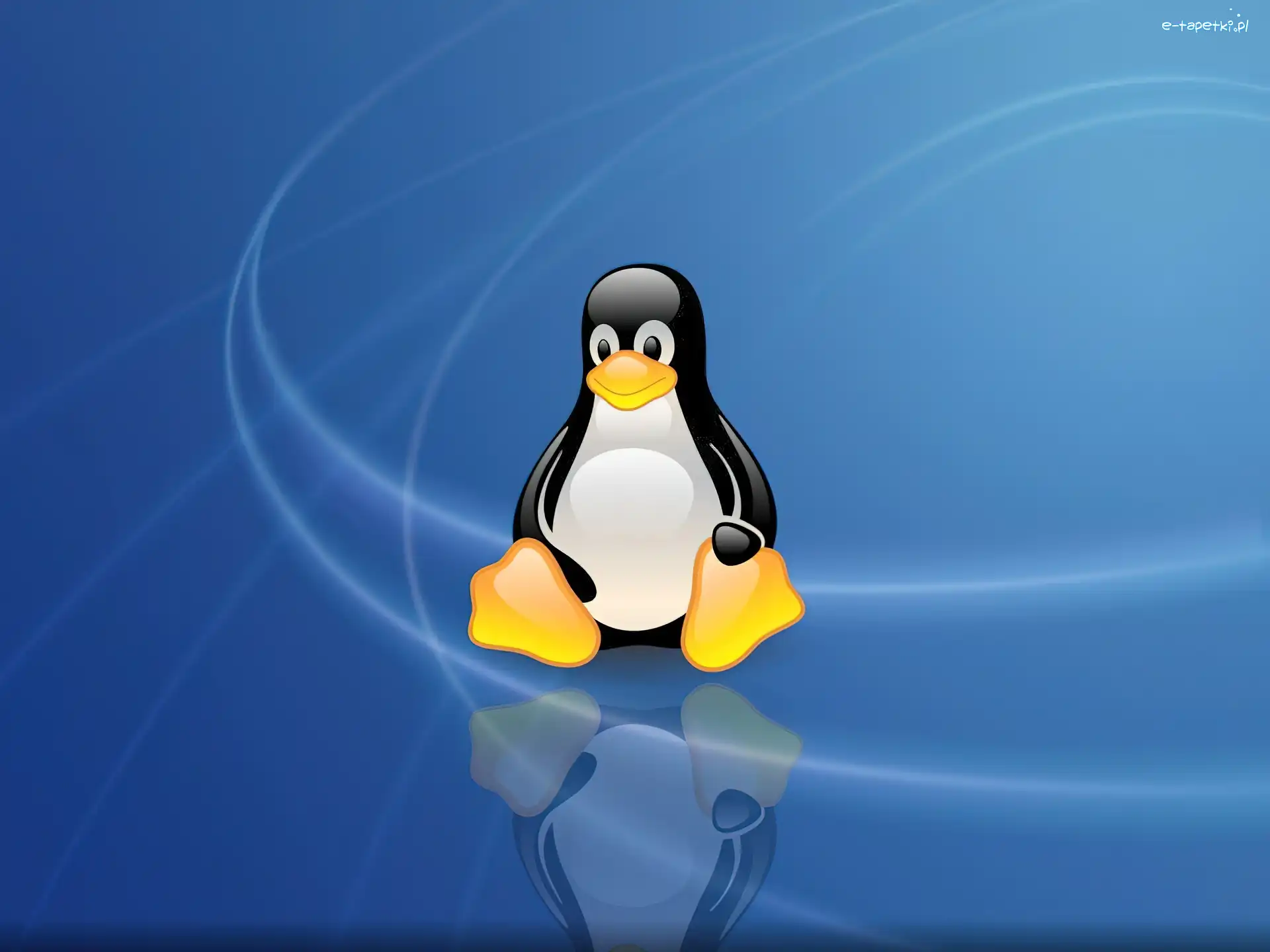 Niebieskie, Pingwin, Tło, Linux