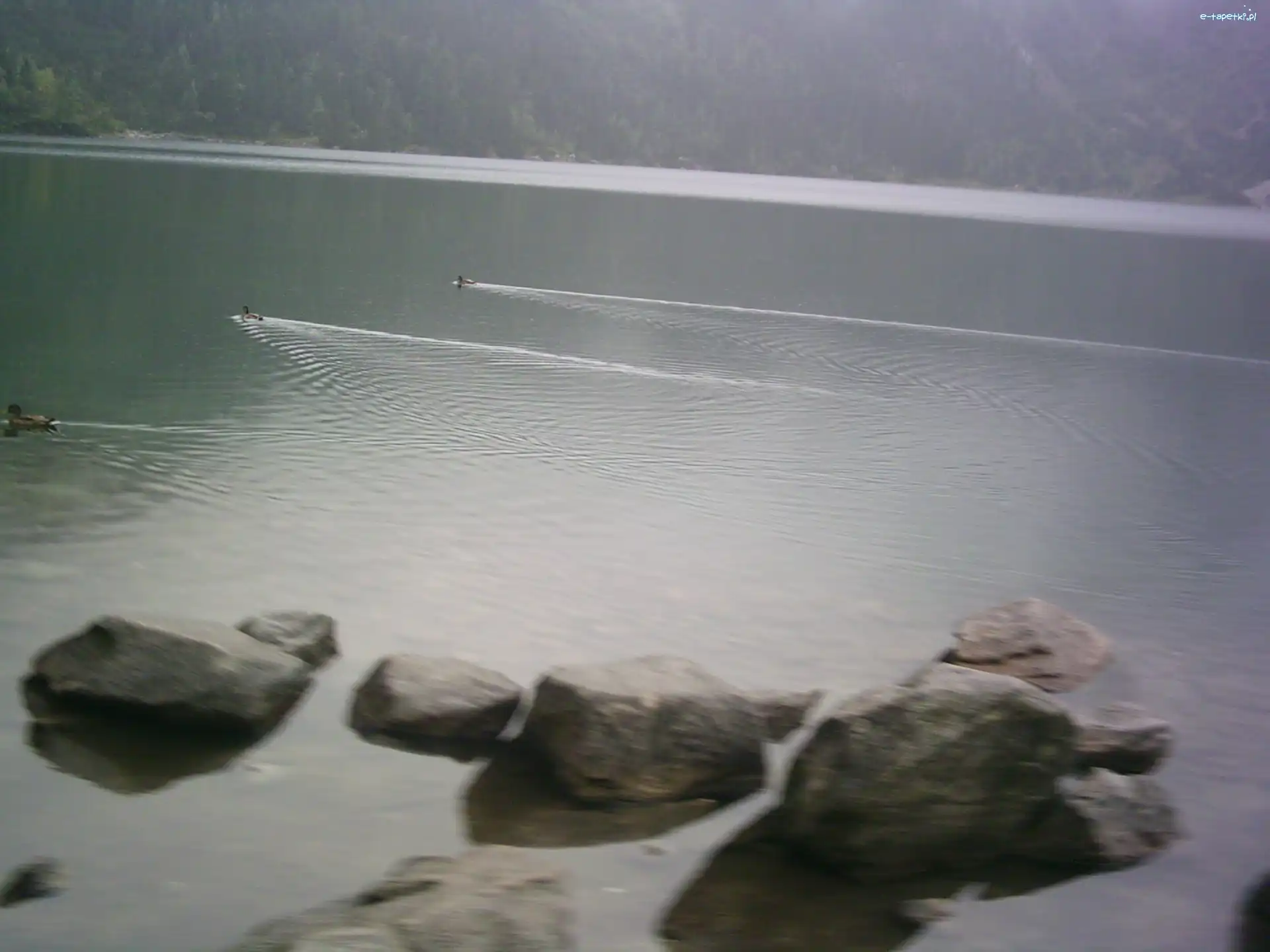 Morskie Oko, Zakopane