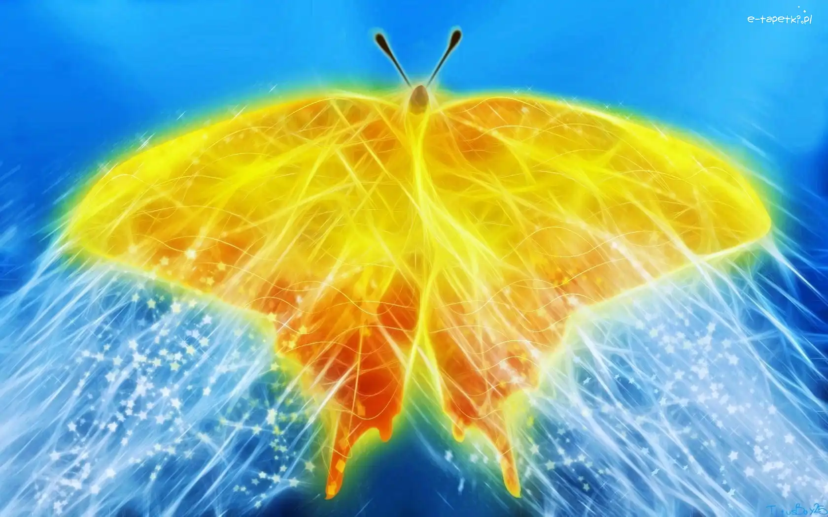 3D, Motyl