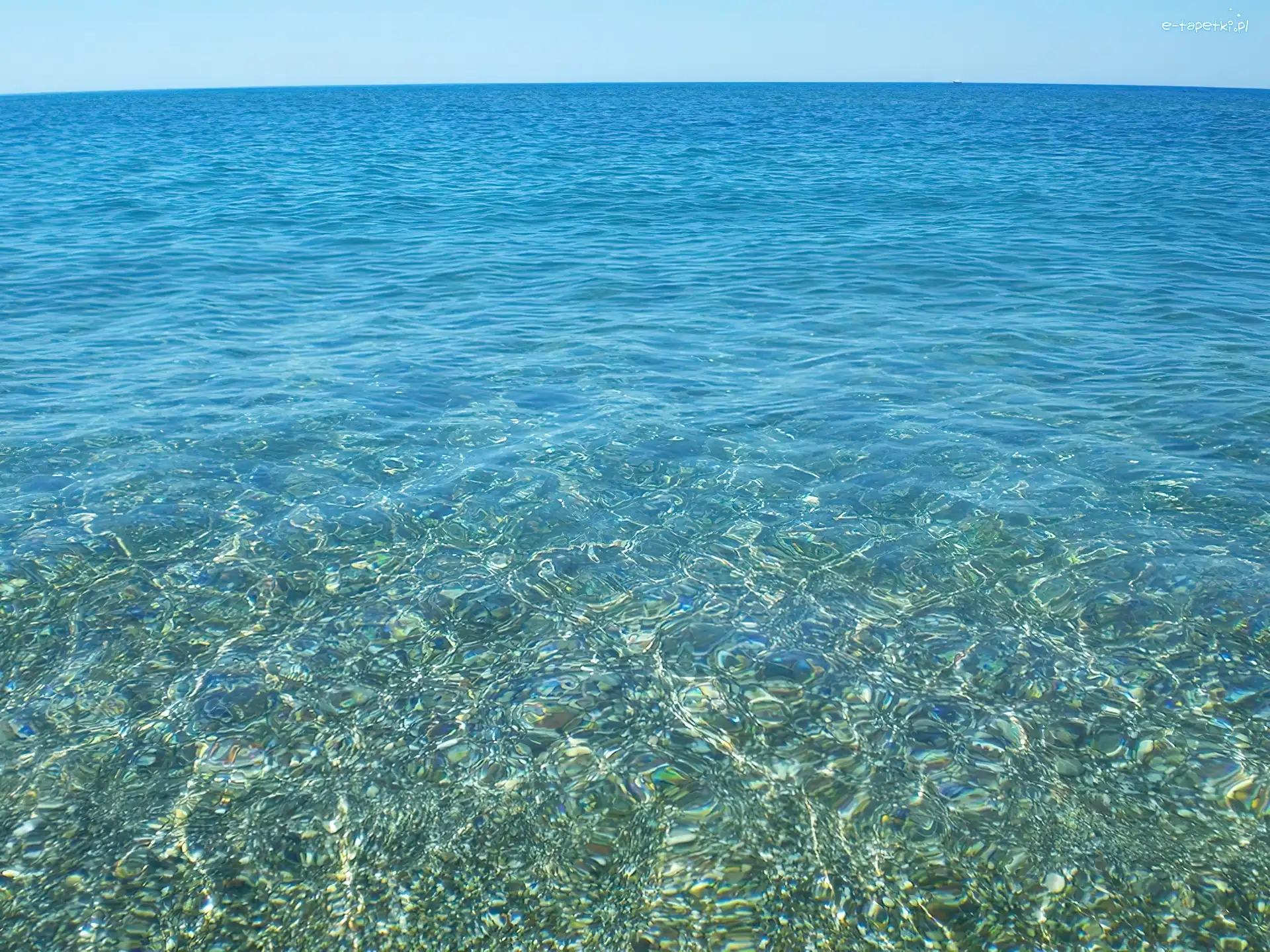 Ocean