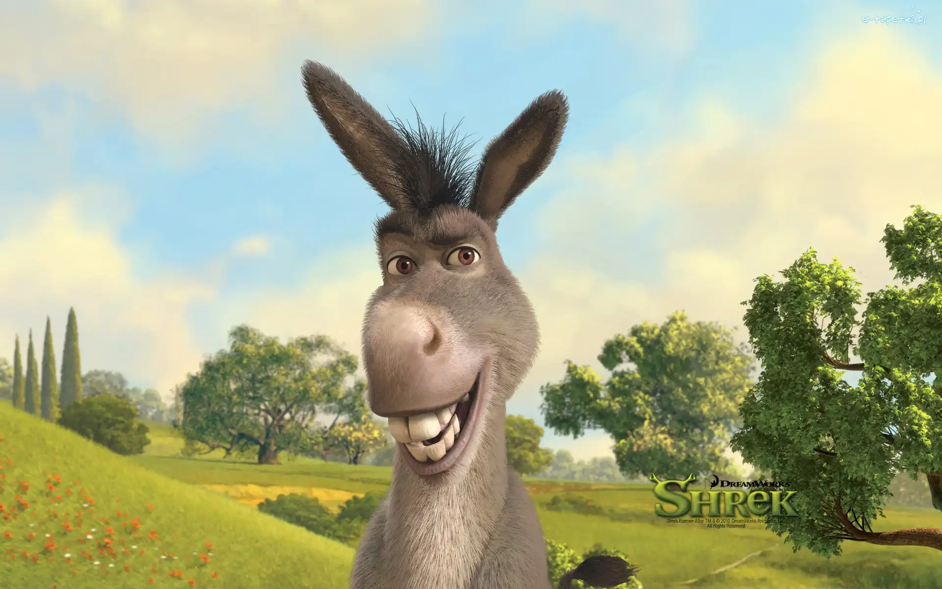 Osioł, Shrek
