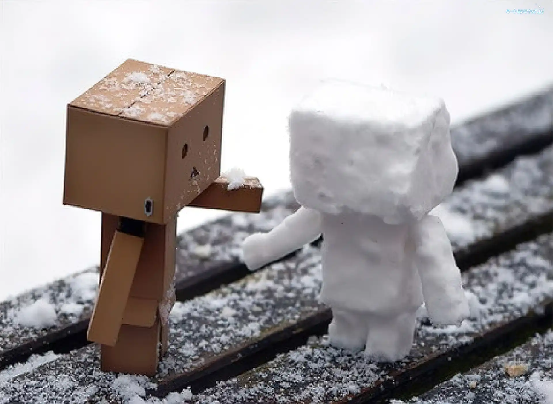 Ludek, Śnieżny, Danbo