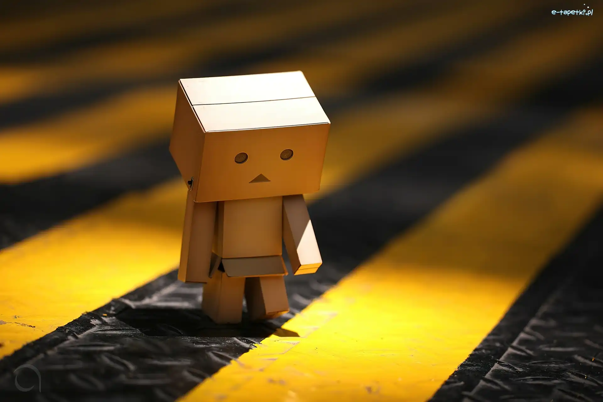 Danbo, Smutny