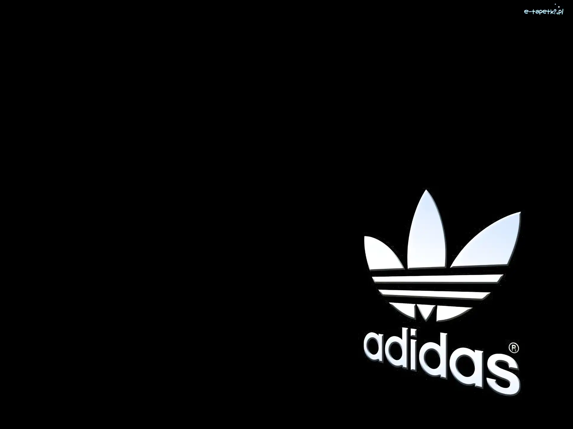 Białe, Adidas, Logo, Tło, Czarne