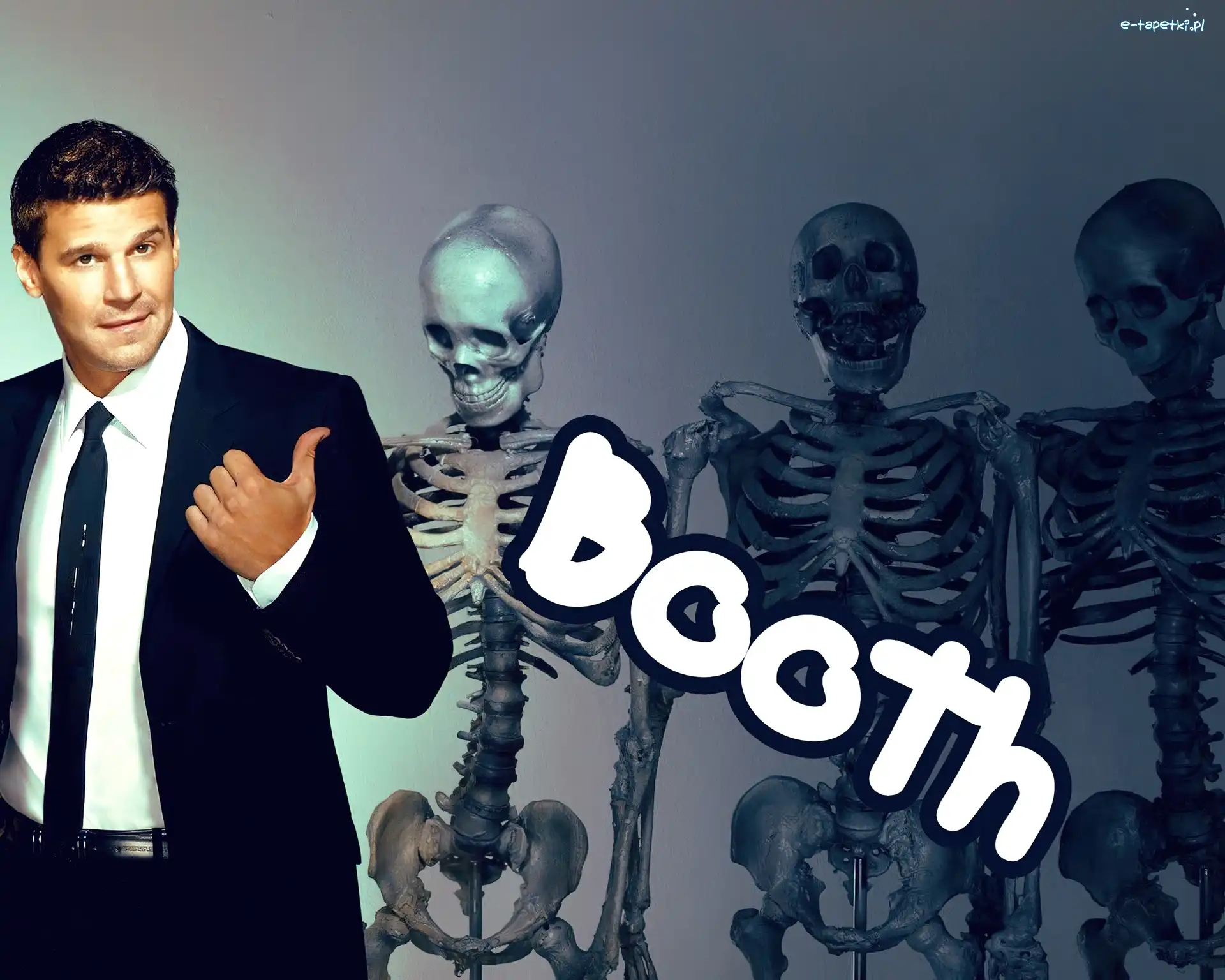 Serial, Bones, Kości, David Boreanaz, Szkielety