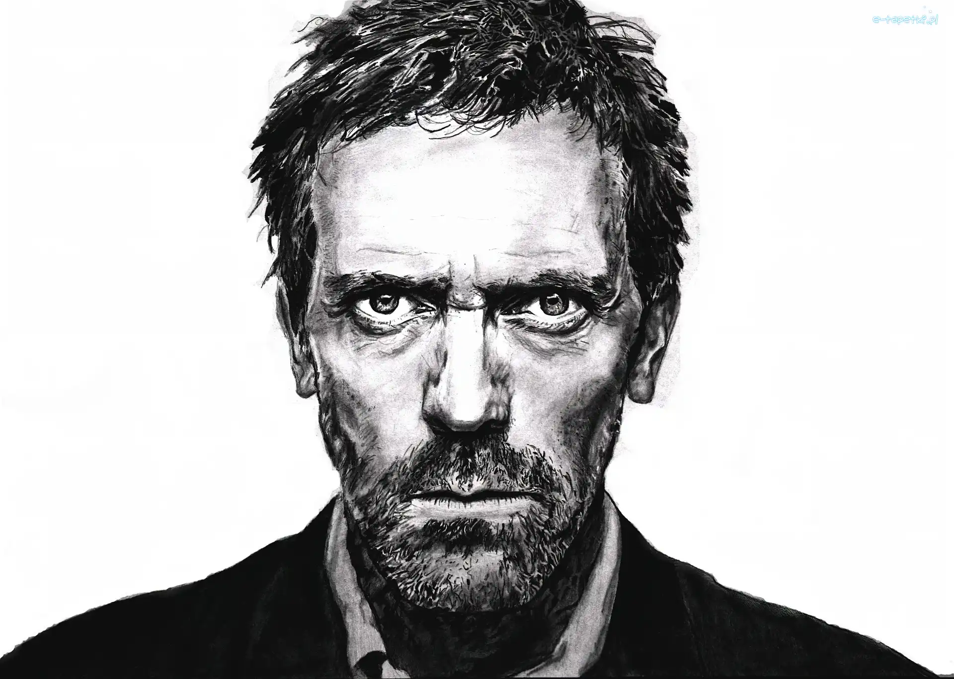Hugh Laurie, Dr. House