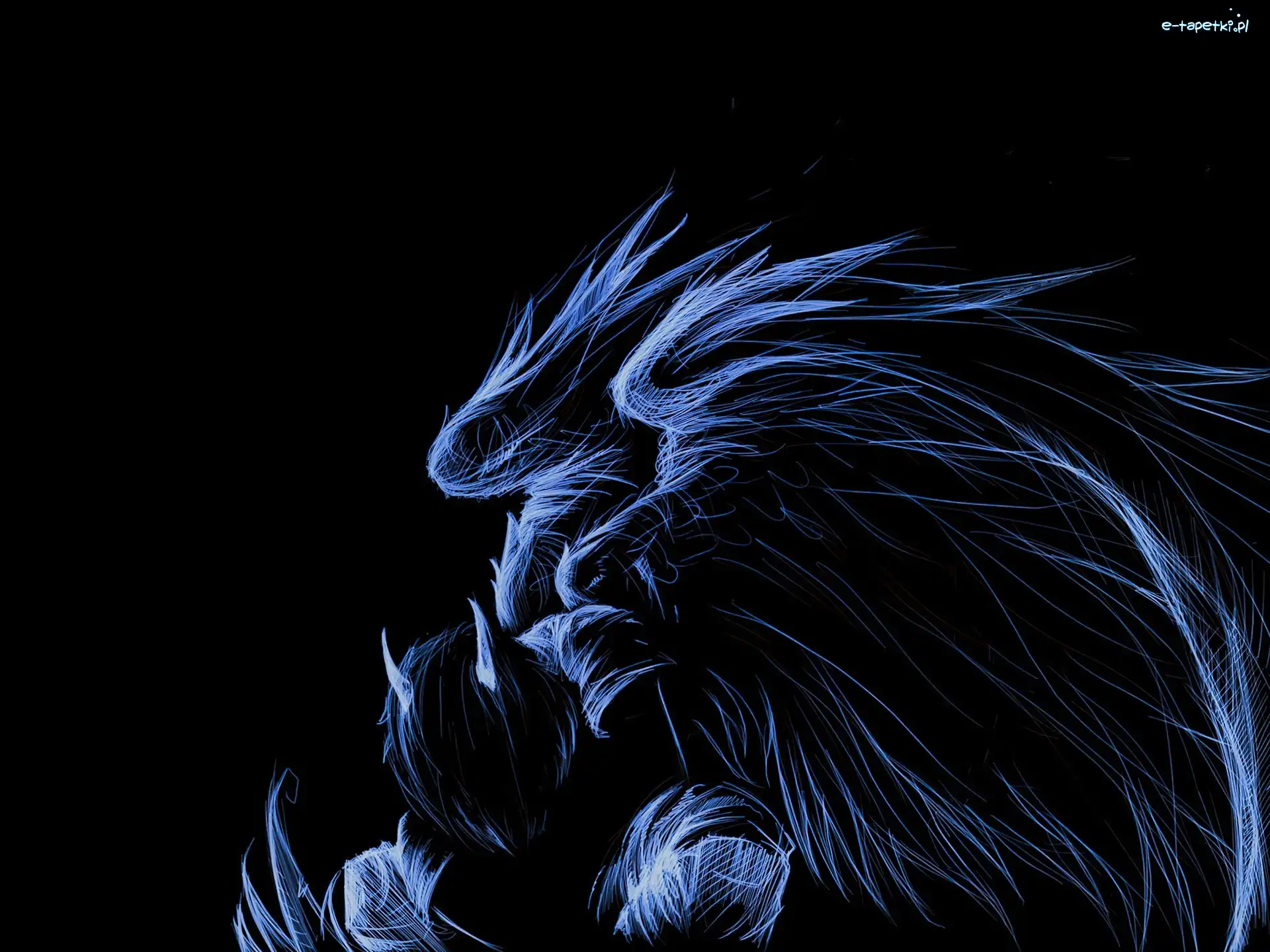 Skrzydła, Fractalius, Zarys, Anioł