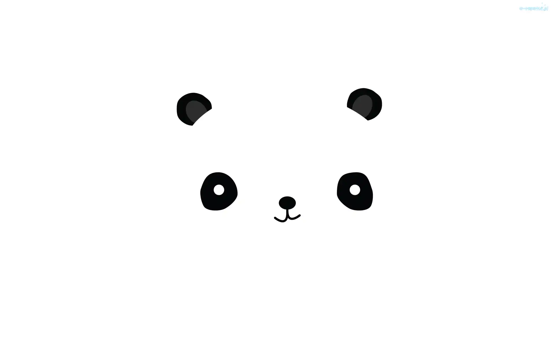 2D, Panda
