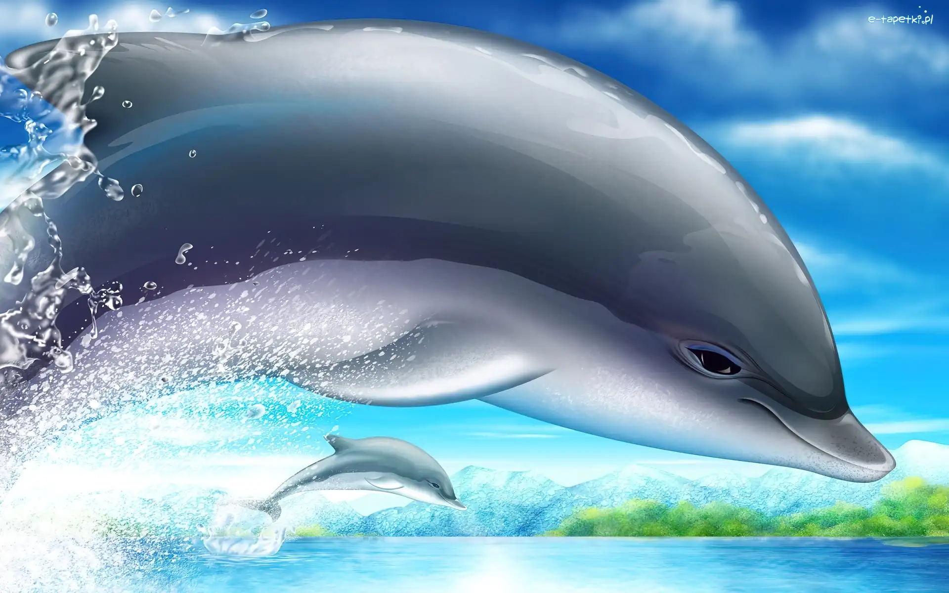 Woda, Delfinek