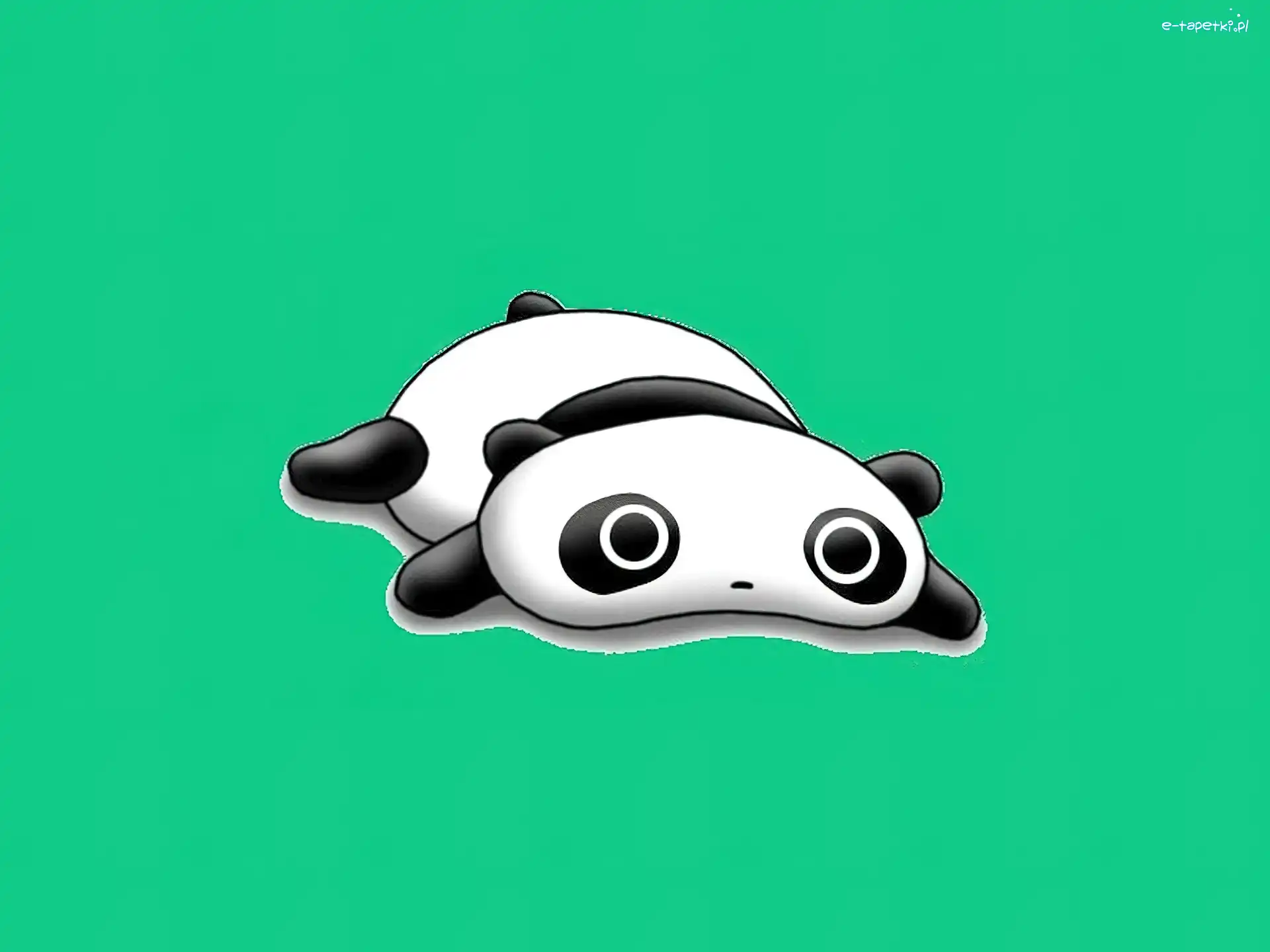 Panda, Płaska