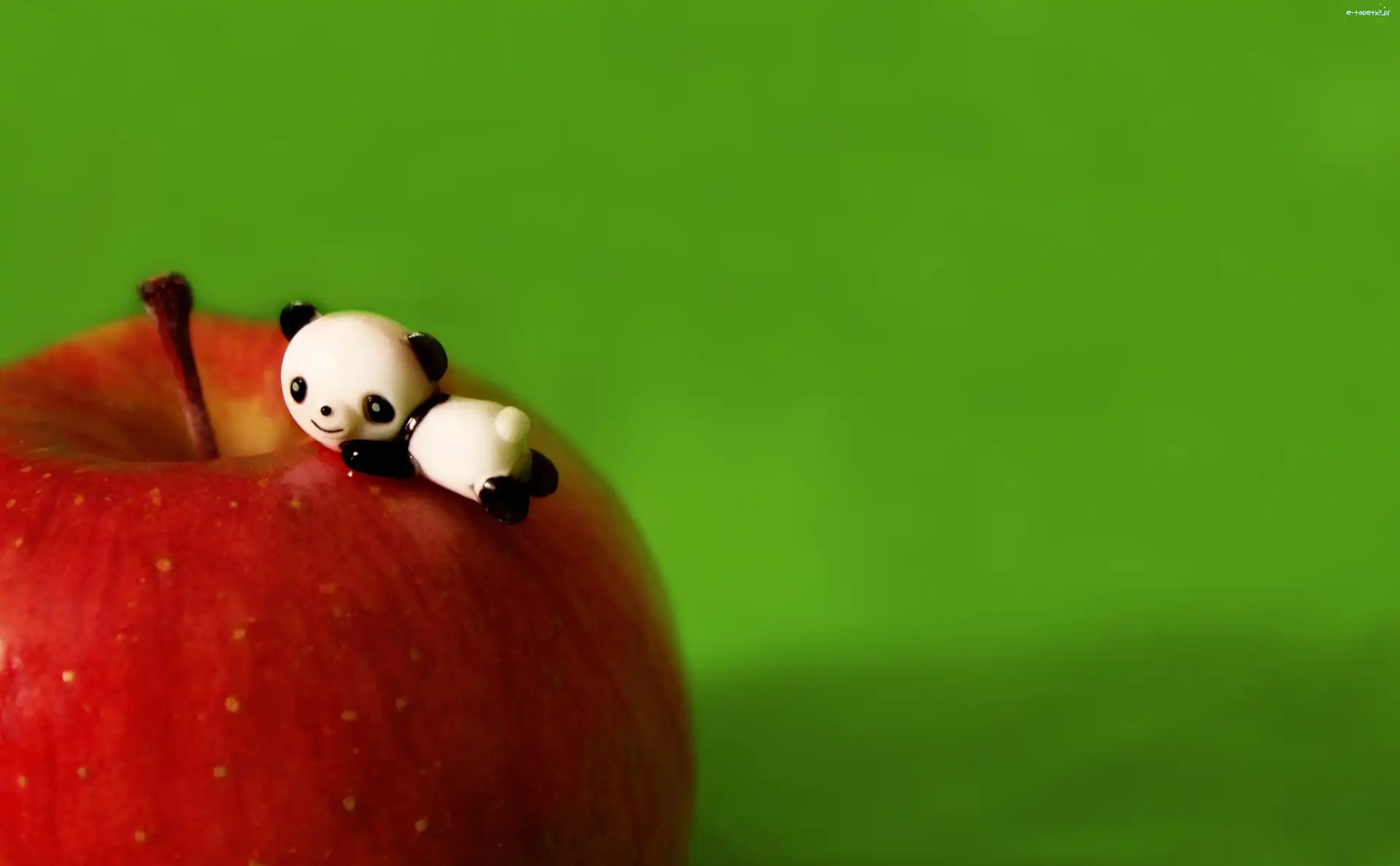 Jabłko, Panda, Mała