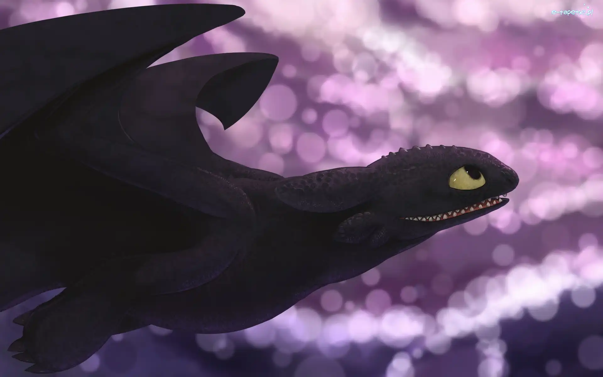 How to Train Your Dragon, Nocna Furia, Smok, Jak wytresować smoka