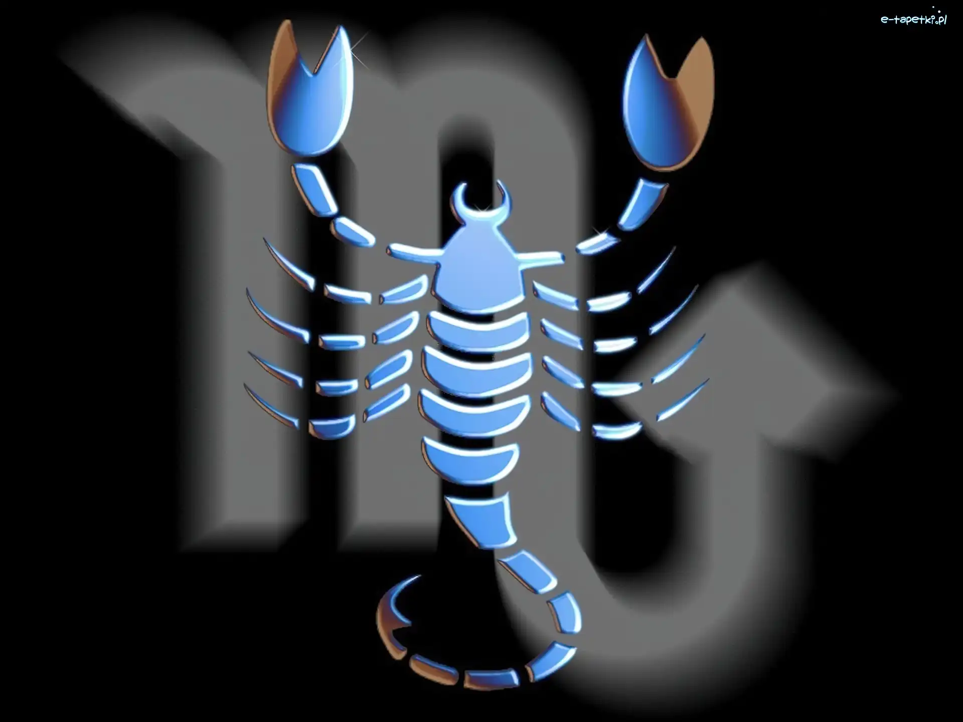 Zodiaku, Znak, Skorpion