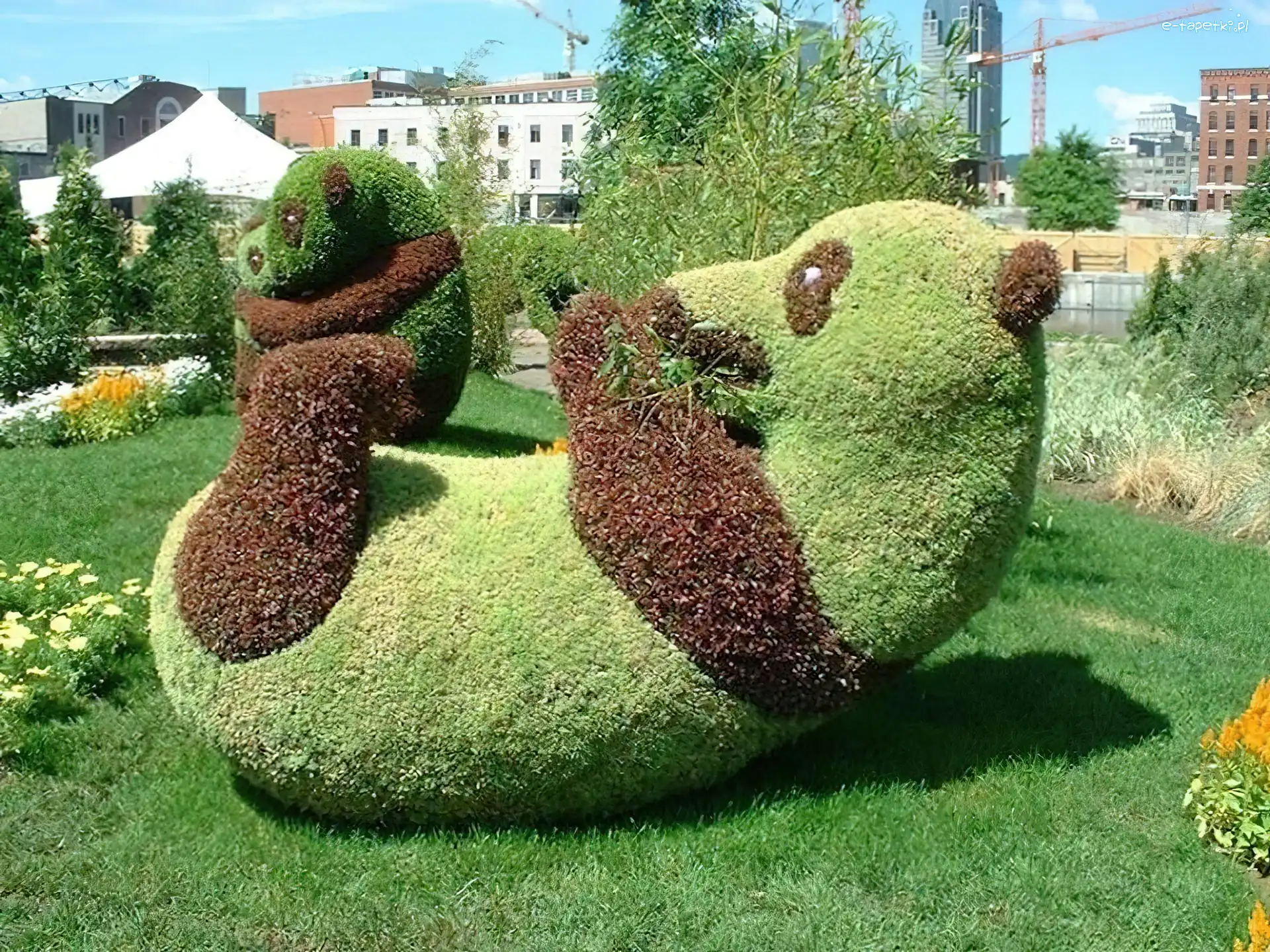 Panda, Ogrodowa, Rzeźba