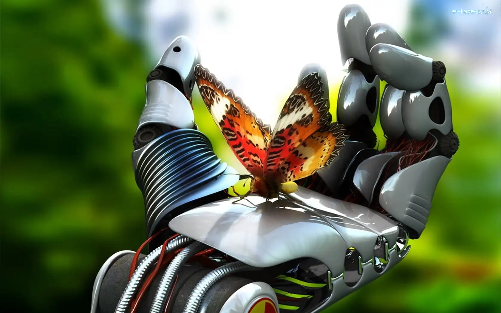 Motyl, Robota, Dłoń