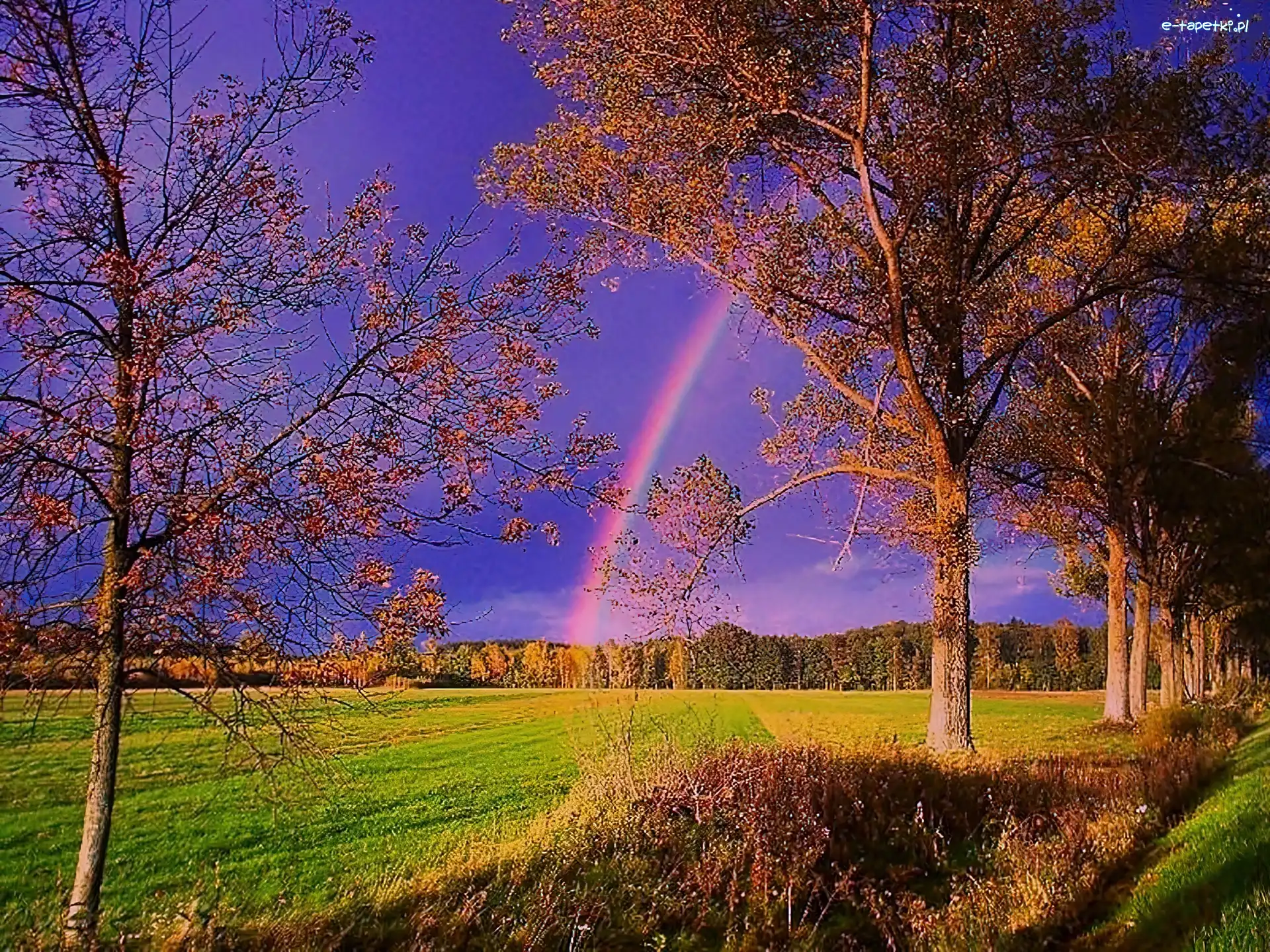 Tęcza, Pejzaż