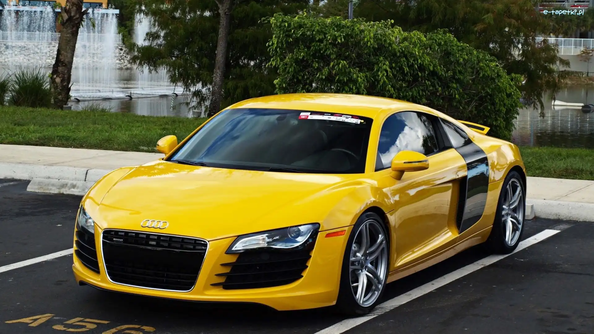 Fontanna, Audi R8