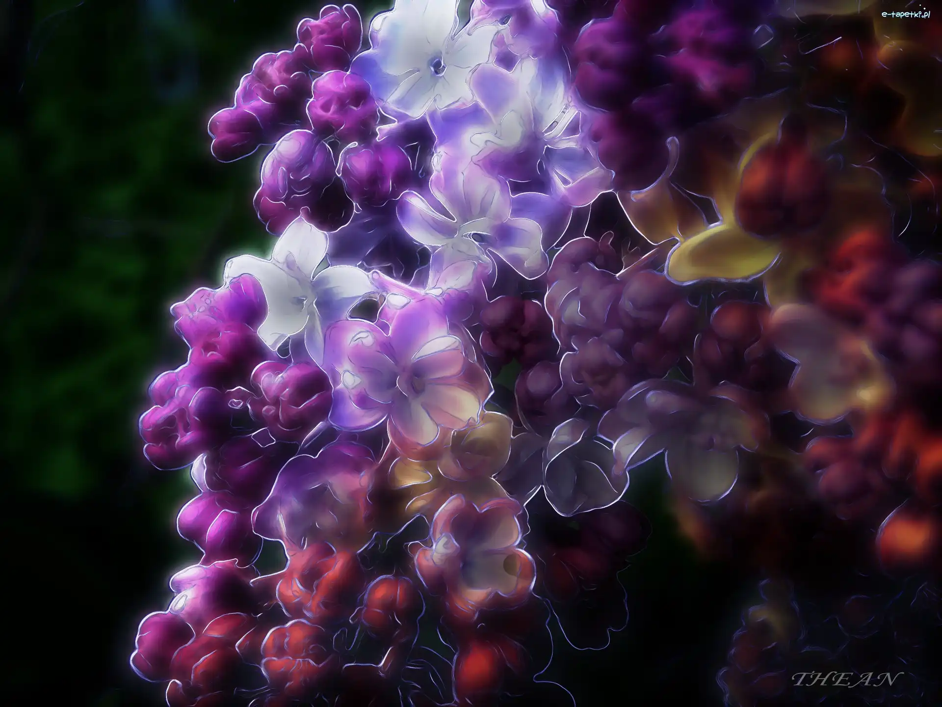 Fractalius, Bez