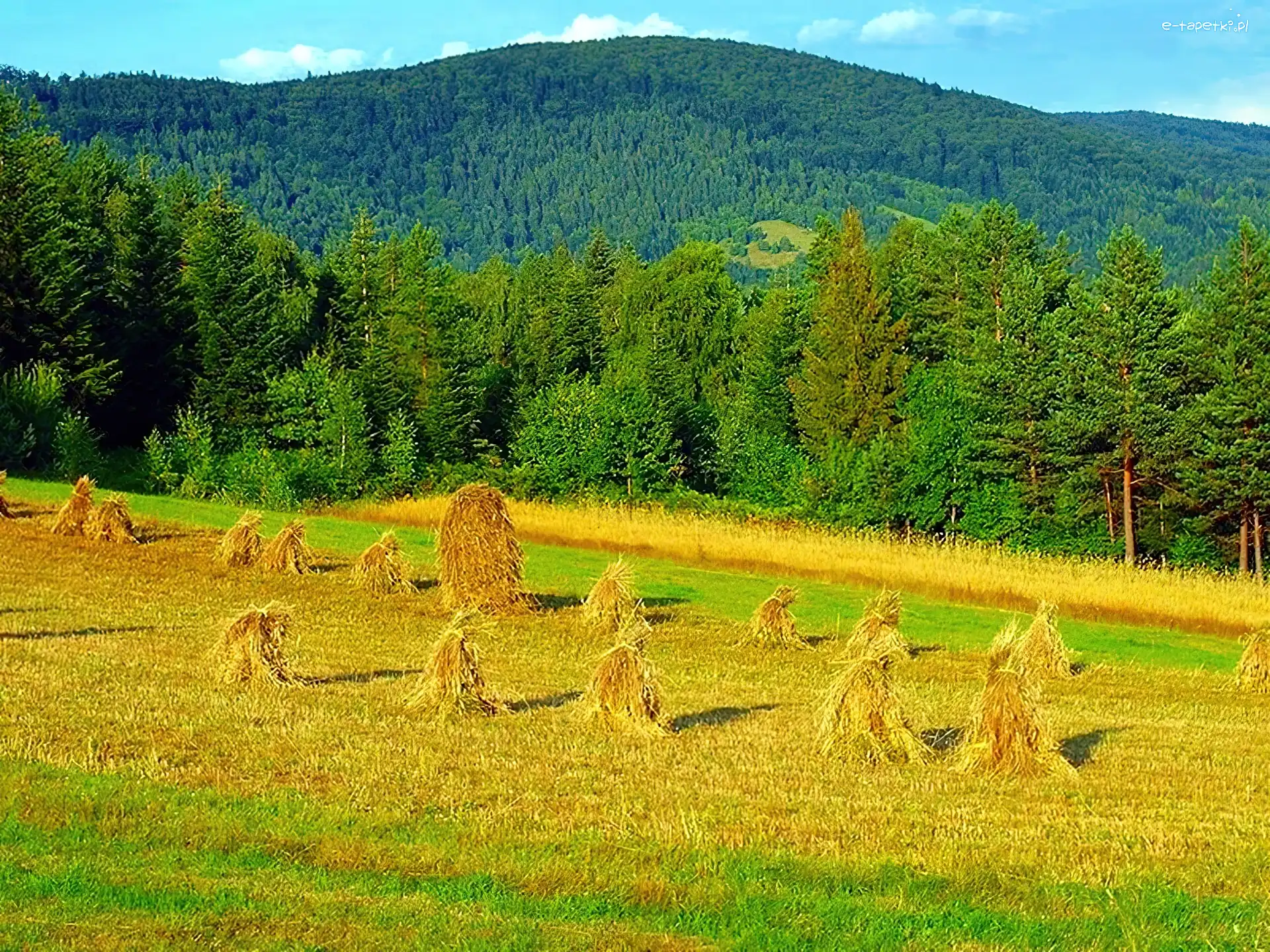 Sianno, Góra, Łysa, Kopki