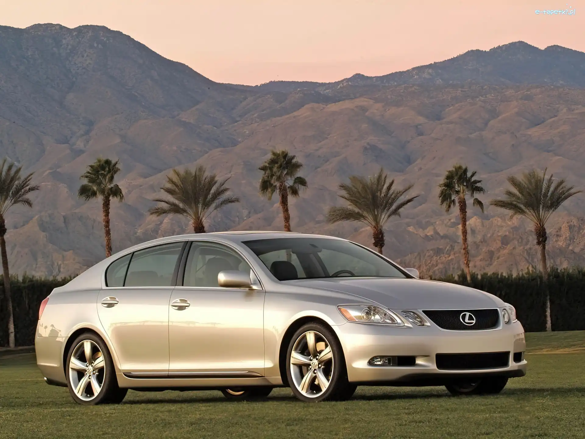 Palmy, Lexus Seria GS