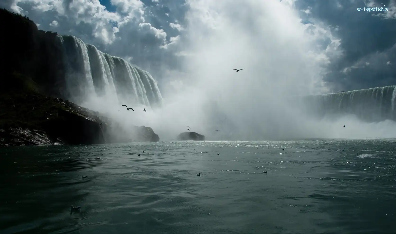 Ptaki, Niagara, Wodospad