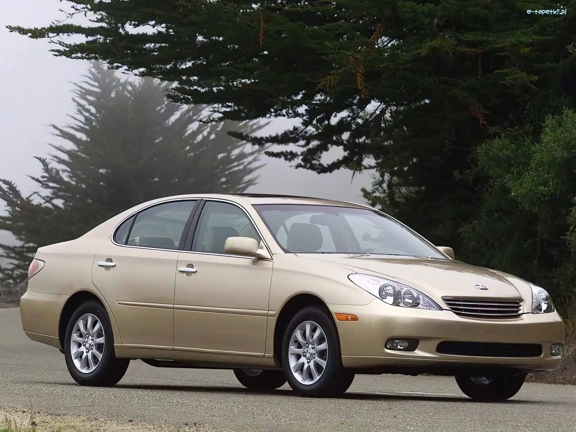 Lexus Seria ES
