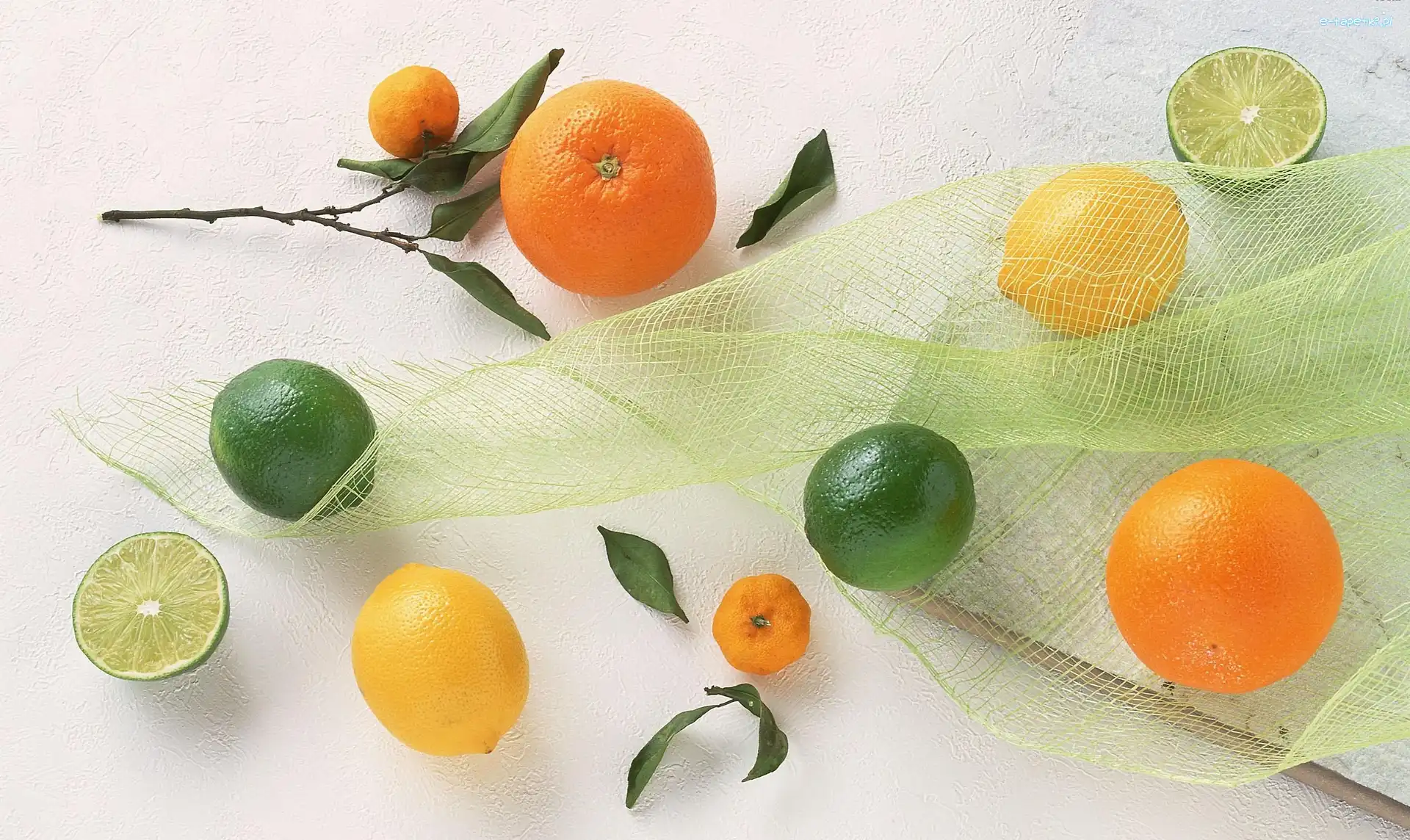 Limonka, Siateczka, Owoce