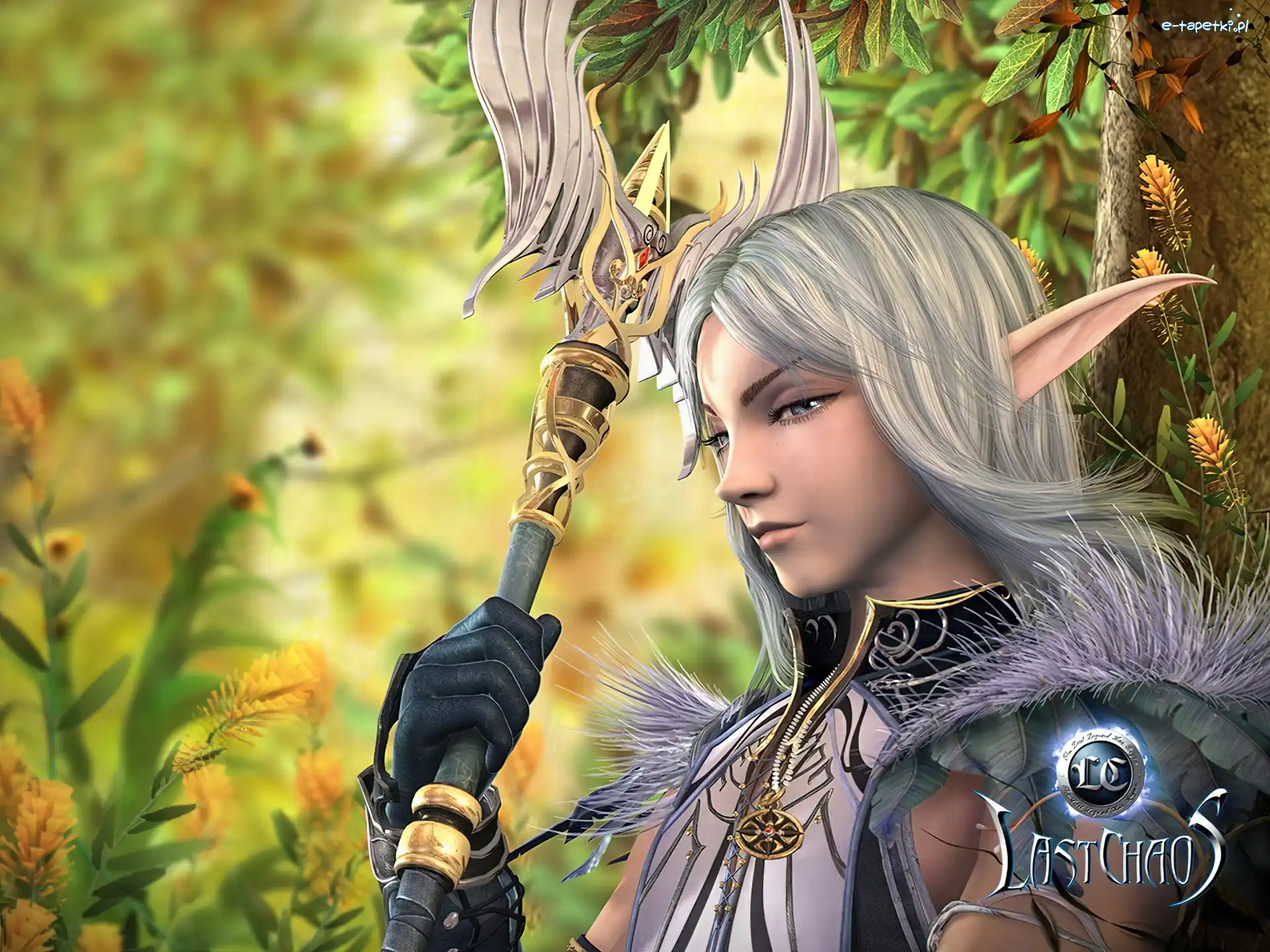 Medalion, Chaos, Last, Elf