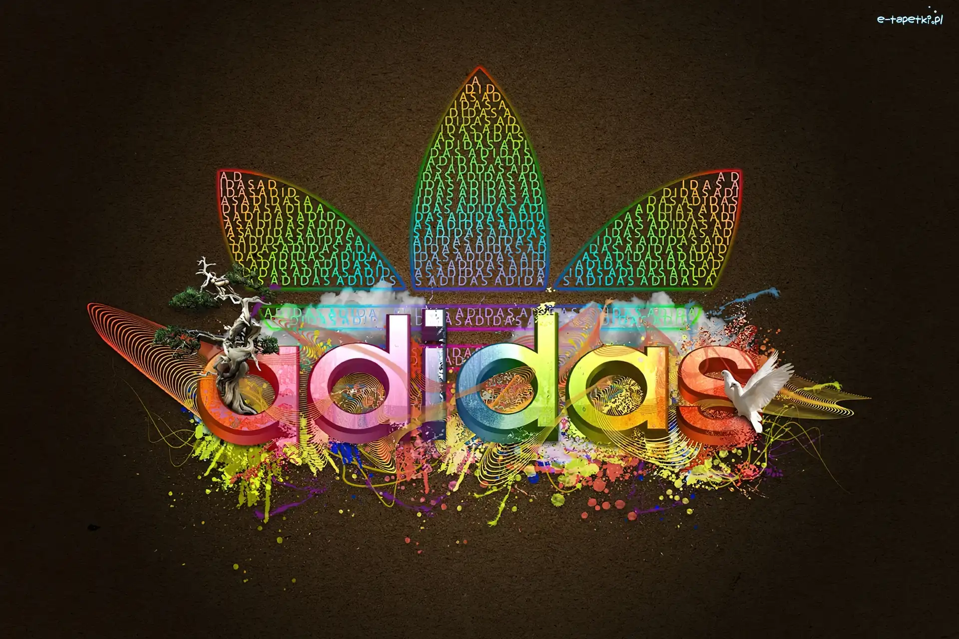 Logo, Ptaki, Adidasa, Kolorowe