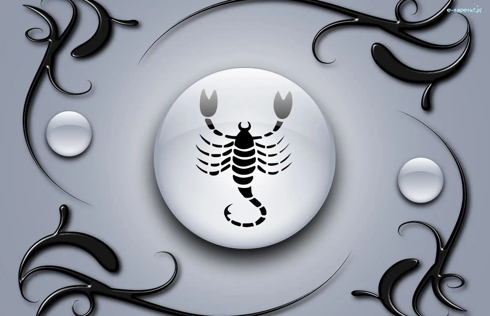 Skorpion, Zodiaku, Znak