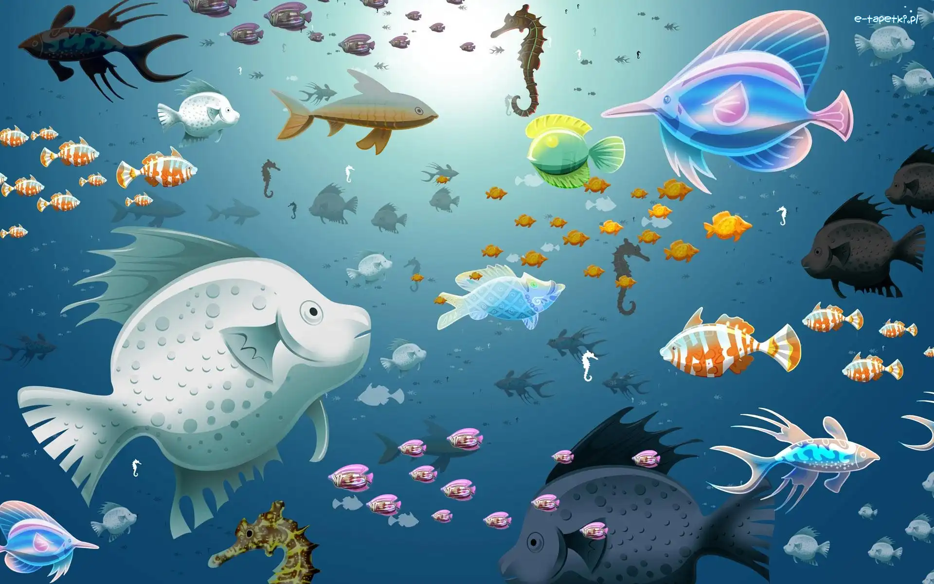 Ocean, Koniki, Ryby, Grafika, Morskie