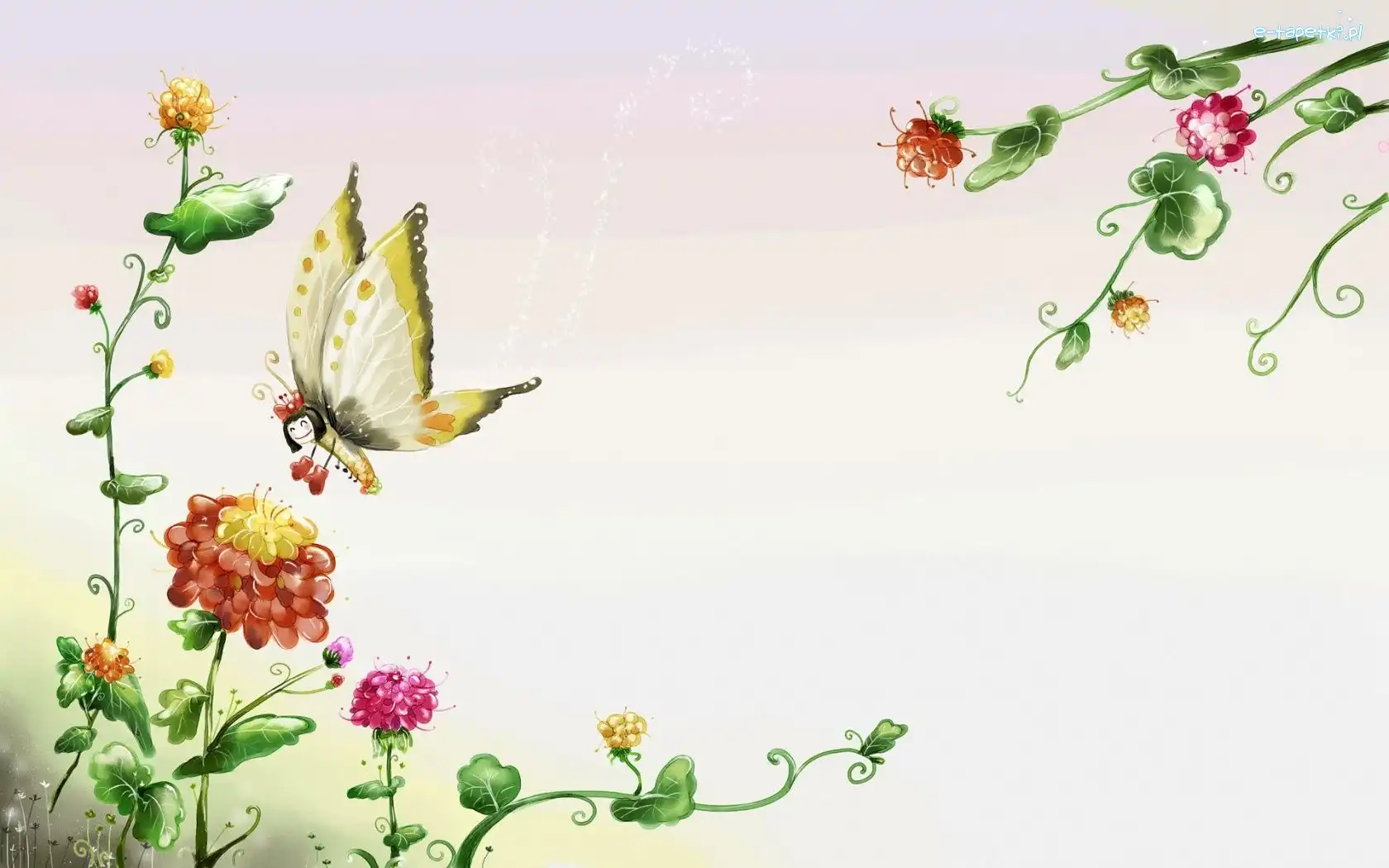 Motyl, Kwiaty