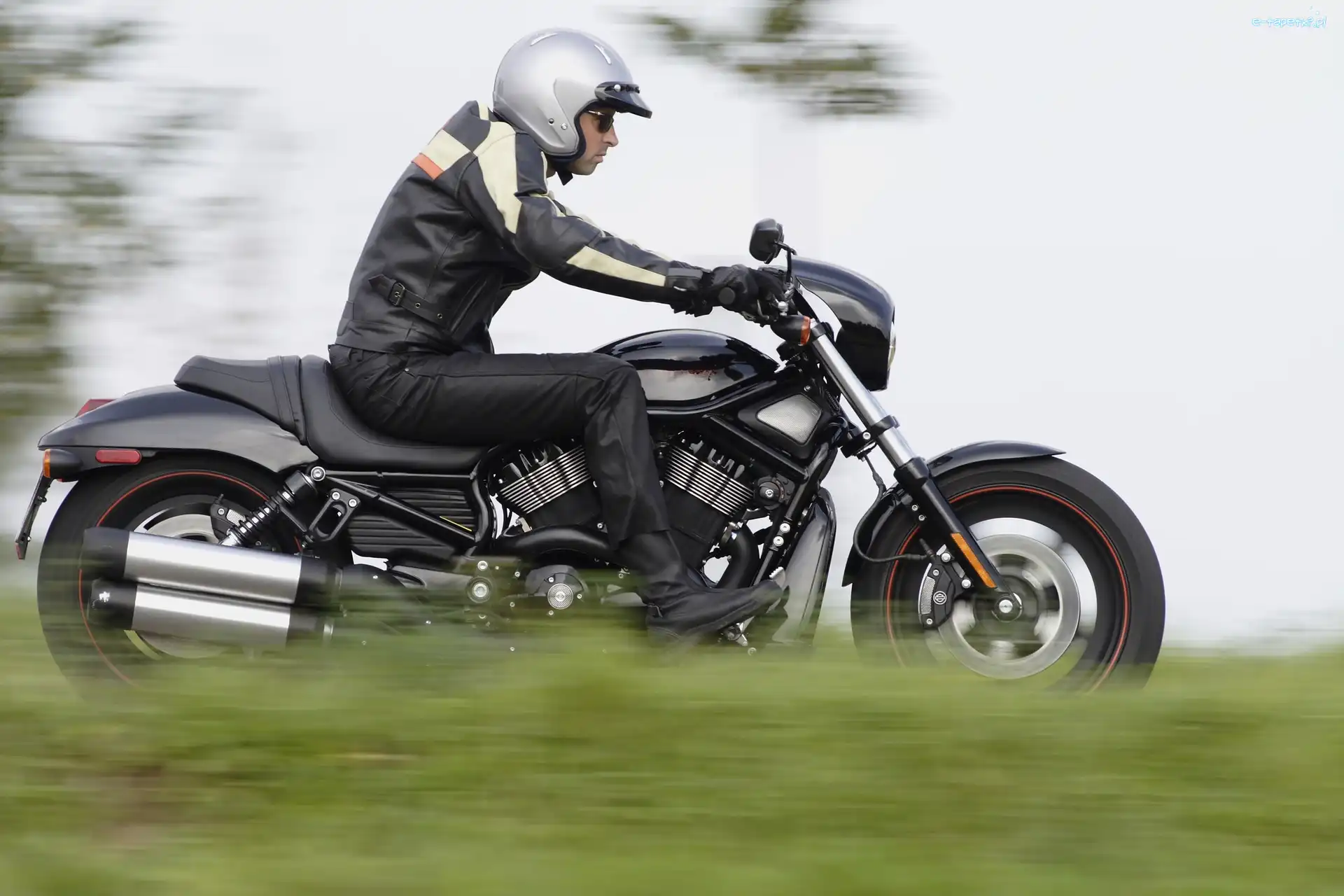 Night Rod, Mężczyzna, Motocykl
