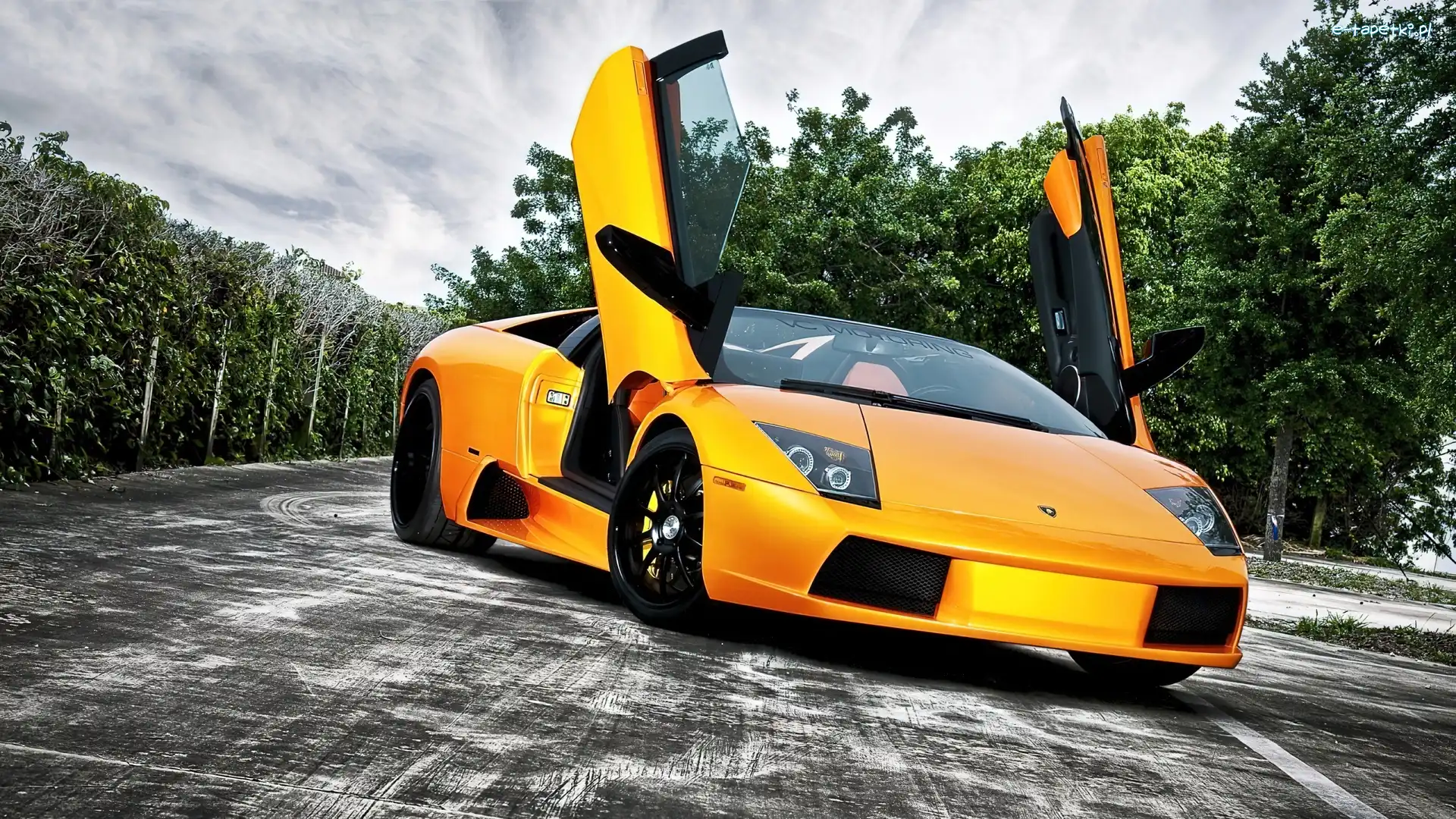 Drzwi, Lamborghini, Żółte