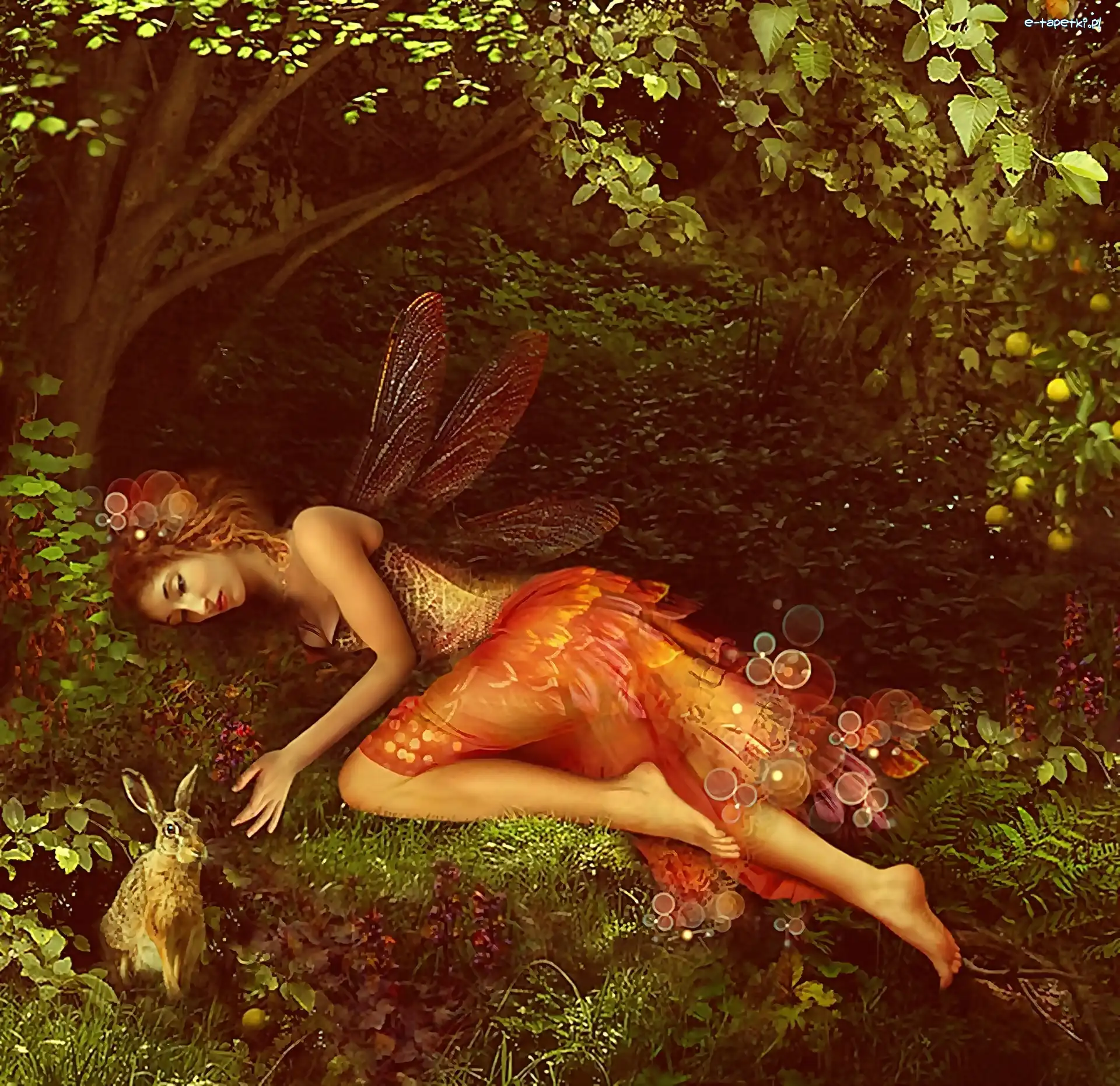Fantazja, Las, Marzenia, Grafika, Elf, Kobieta