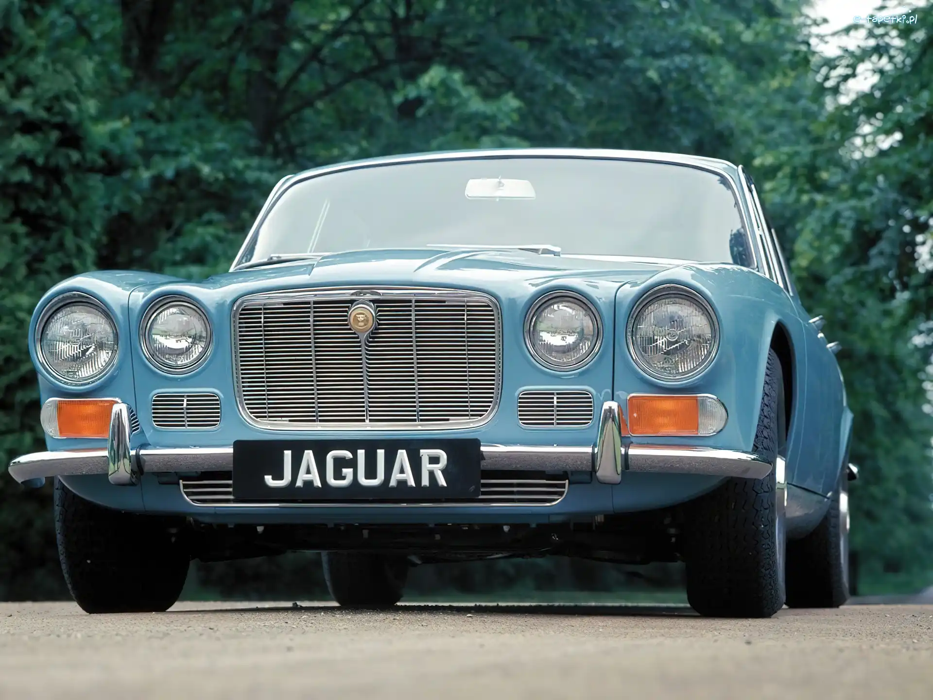Zabytek, Jaguar