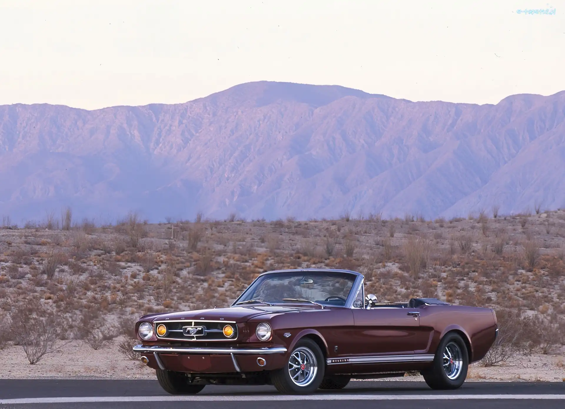 Ford Mustang K-Code, Wiśniowy