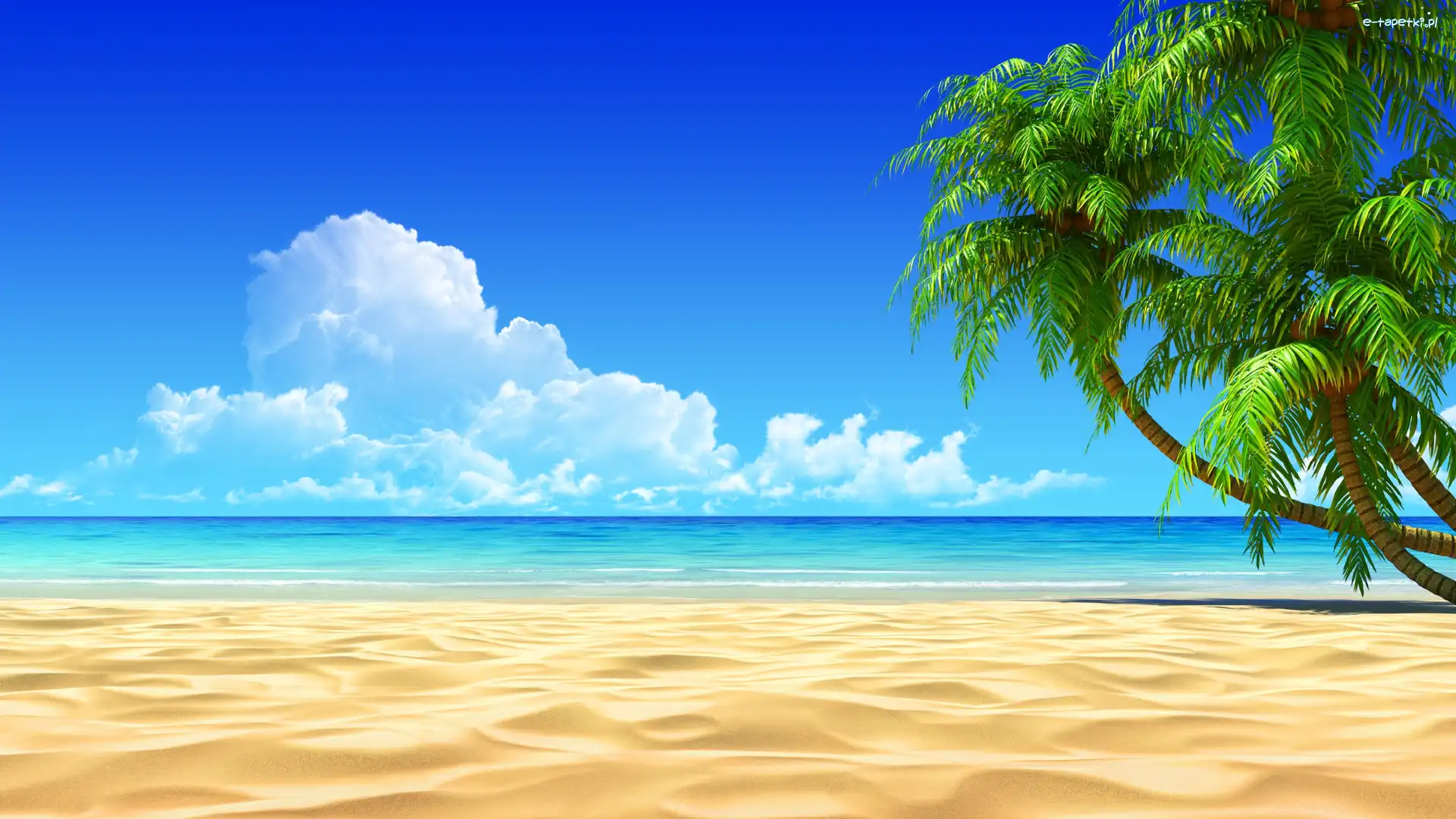 Piasek, Plaża, Palmy