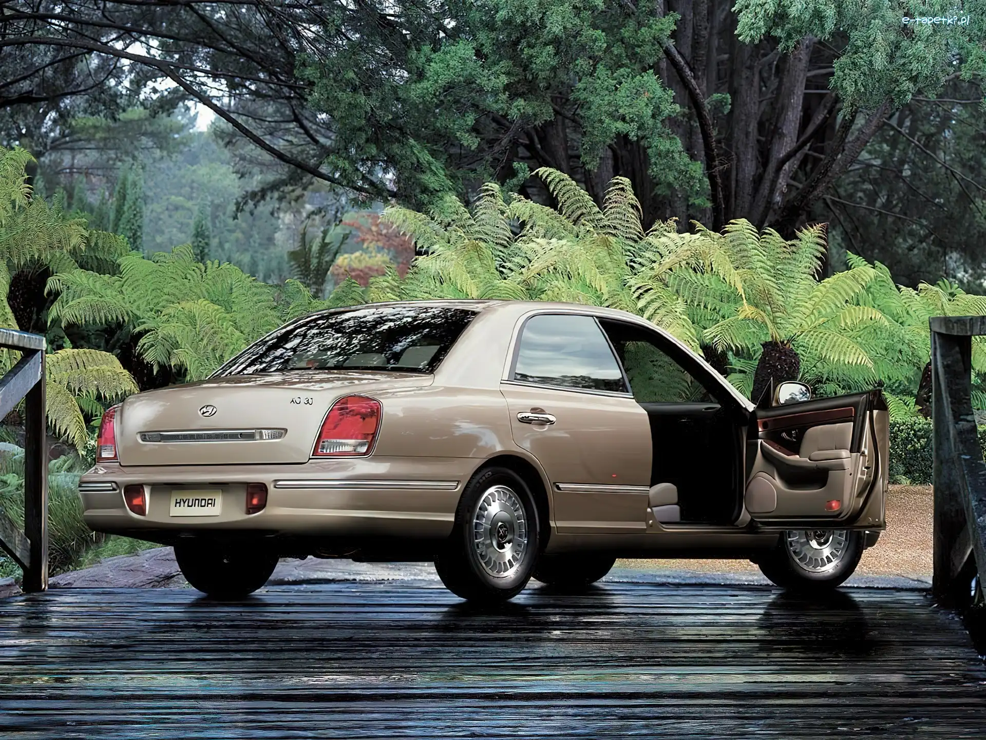 33, Hyundai XG