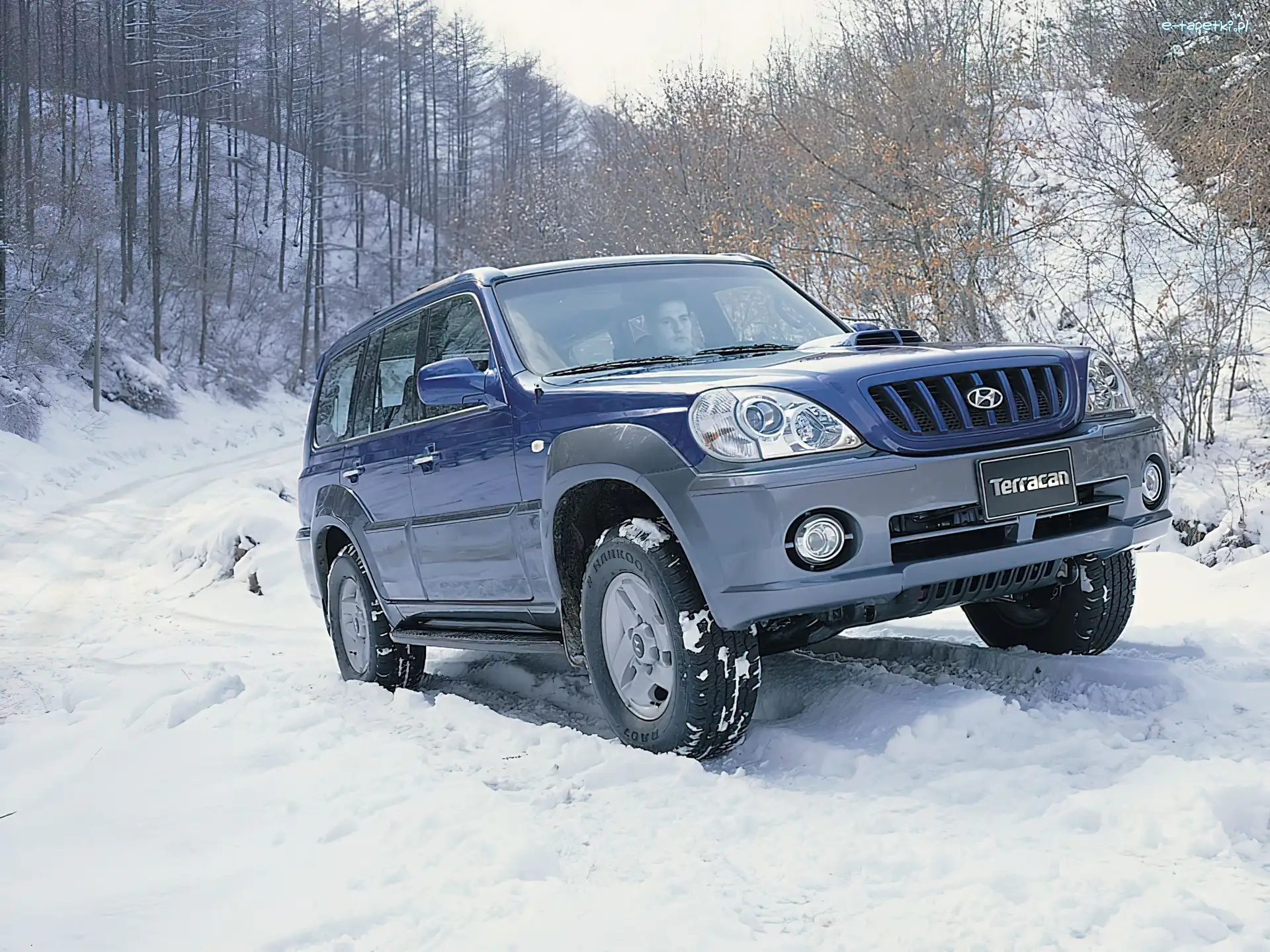 Zima, Hyundai Terracan, Niebieski