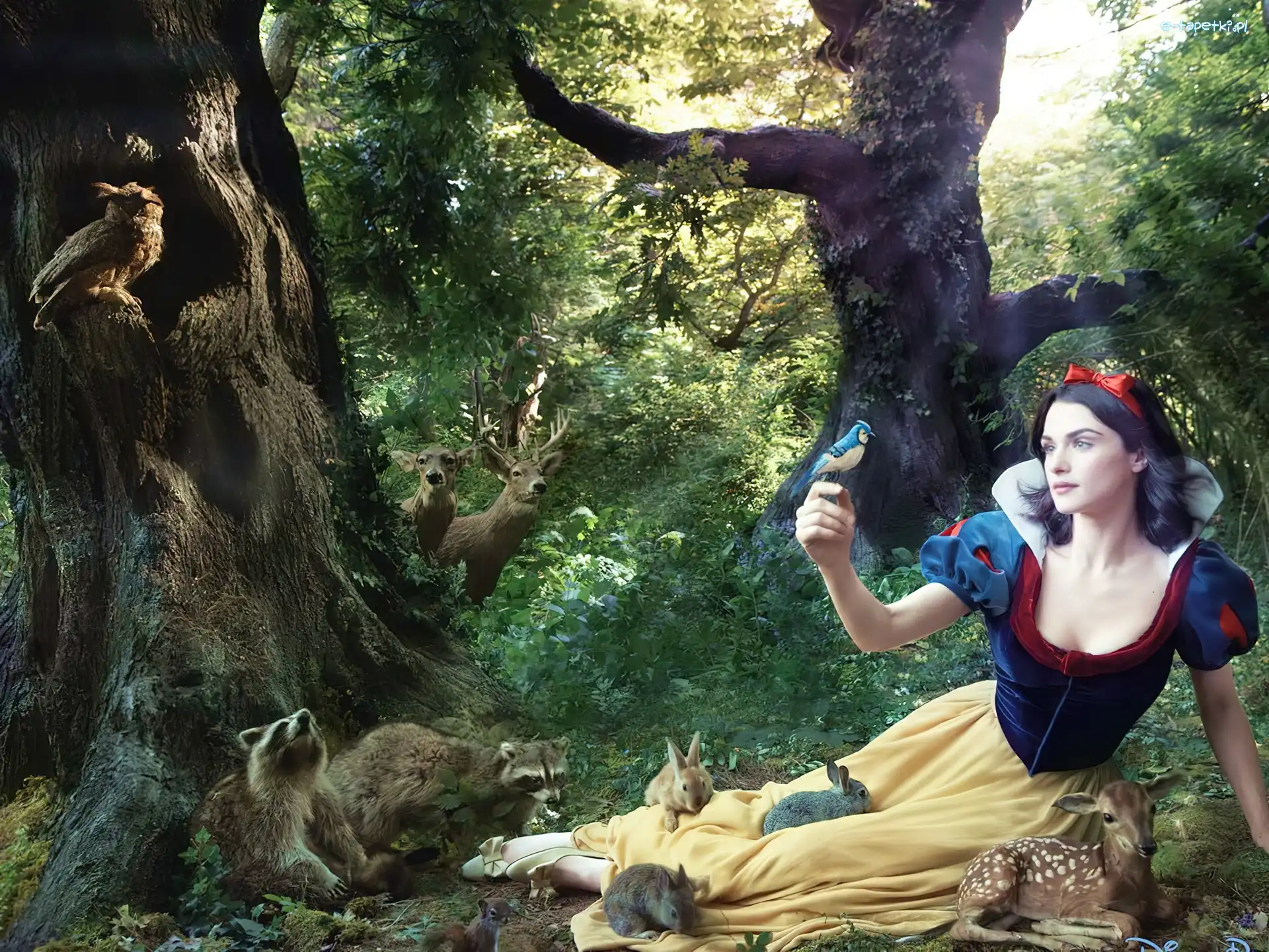 Cosplay, Rachel Weisz, Aktorka, Królewna Śnieżka