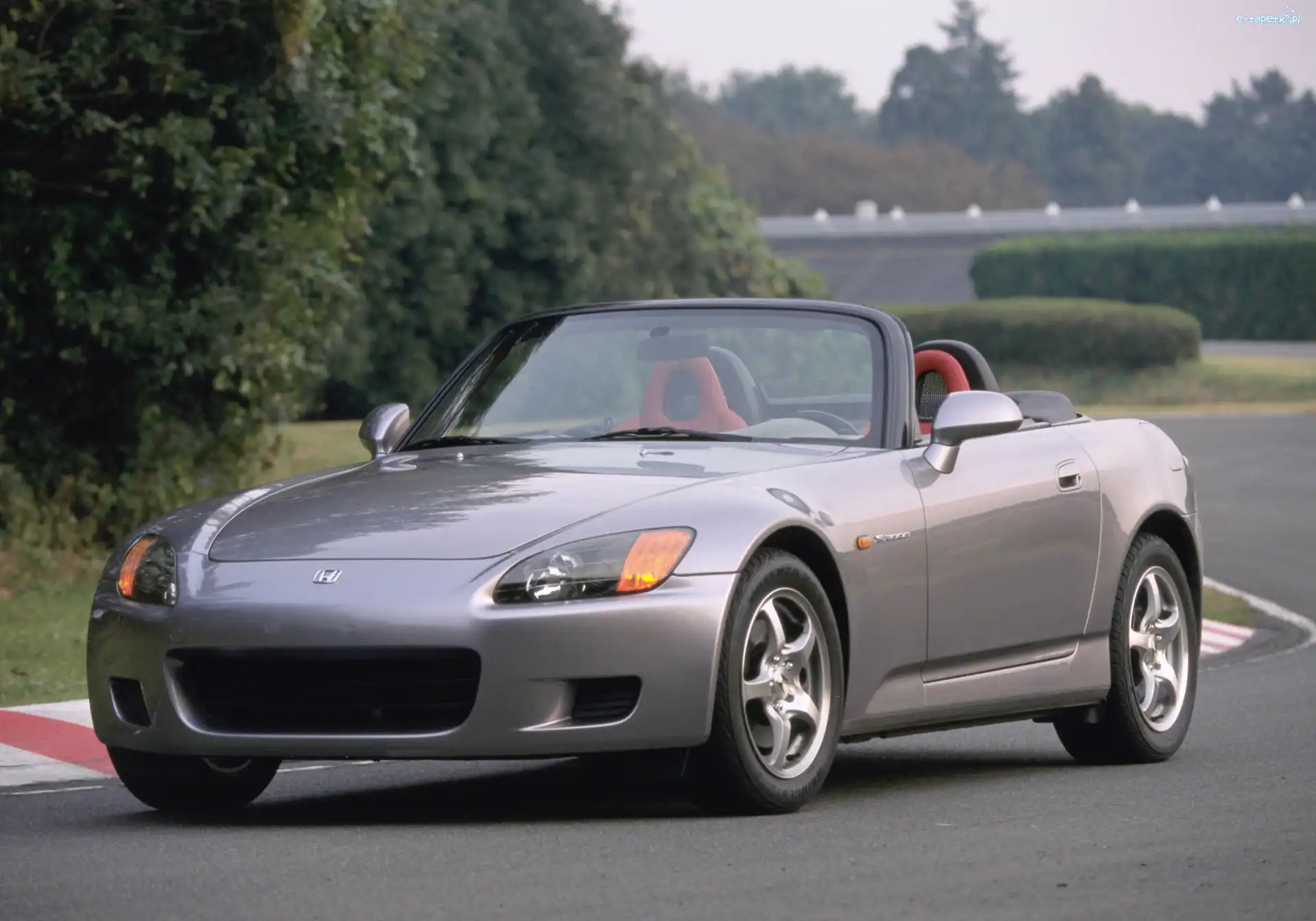 Honda S2000, Szara