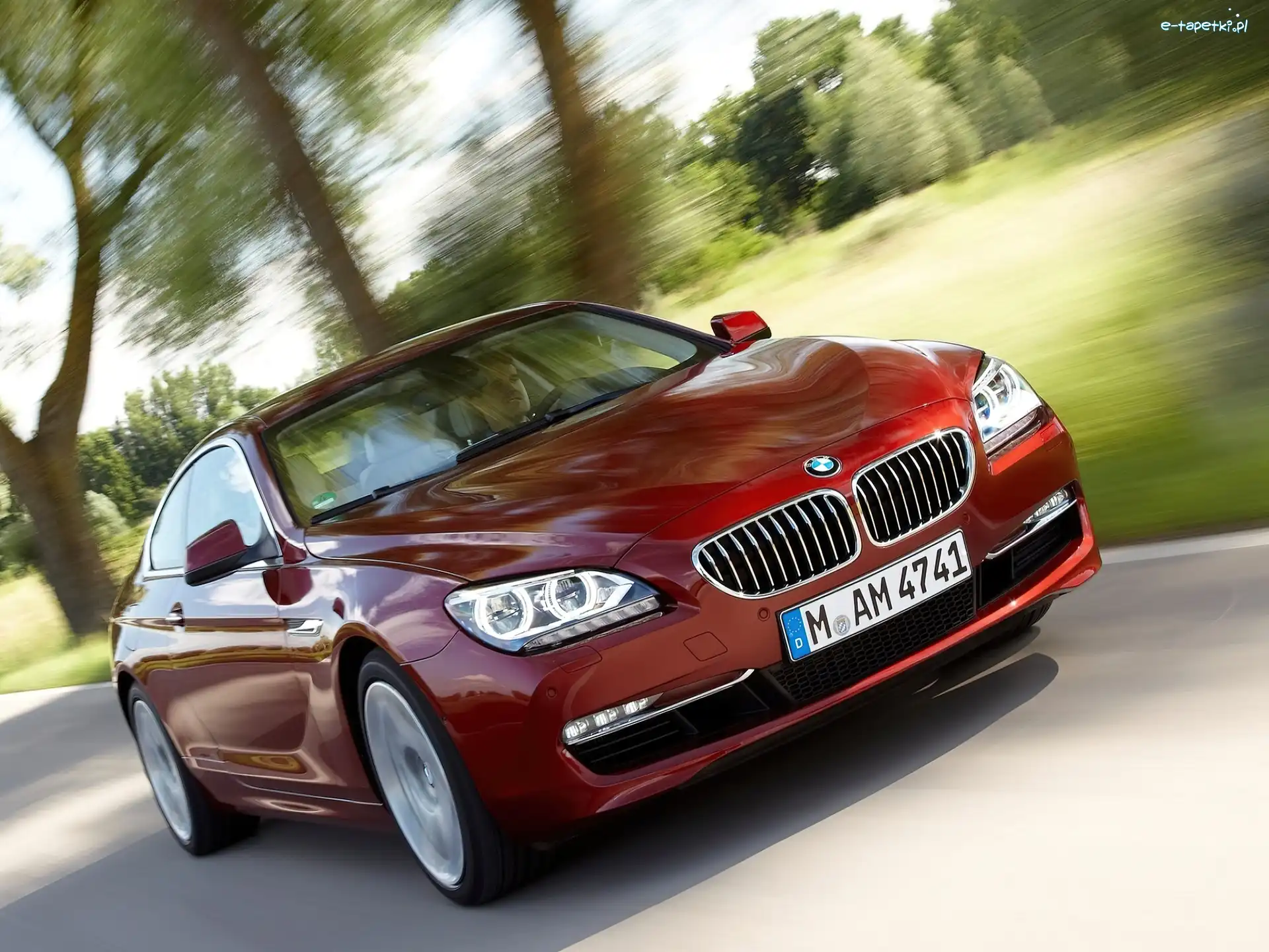 Coupe, BMW F 13