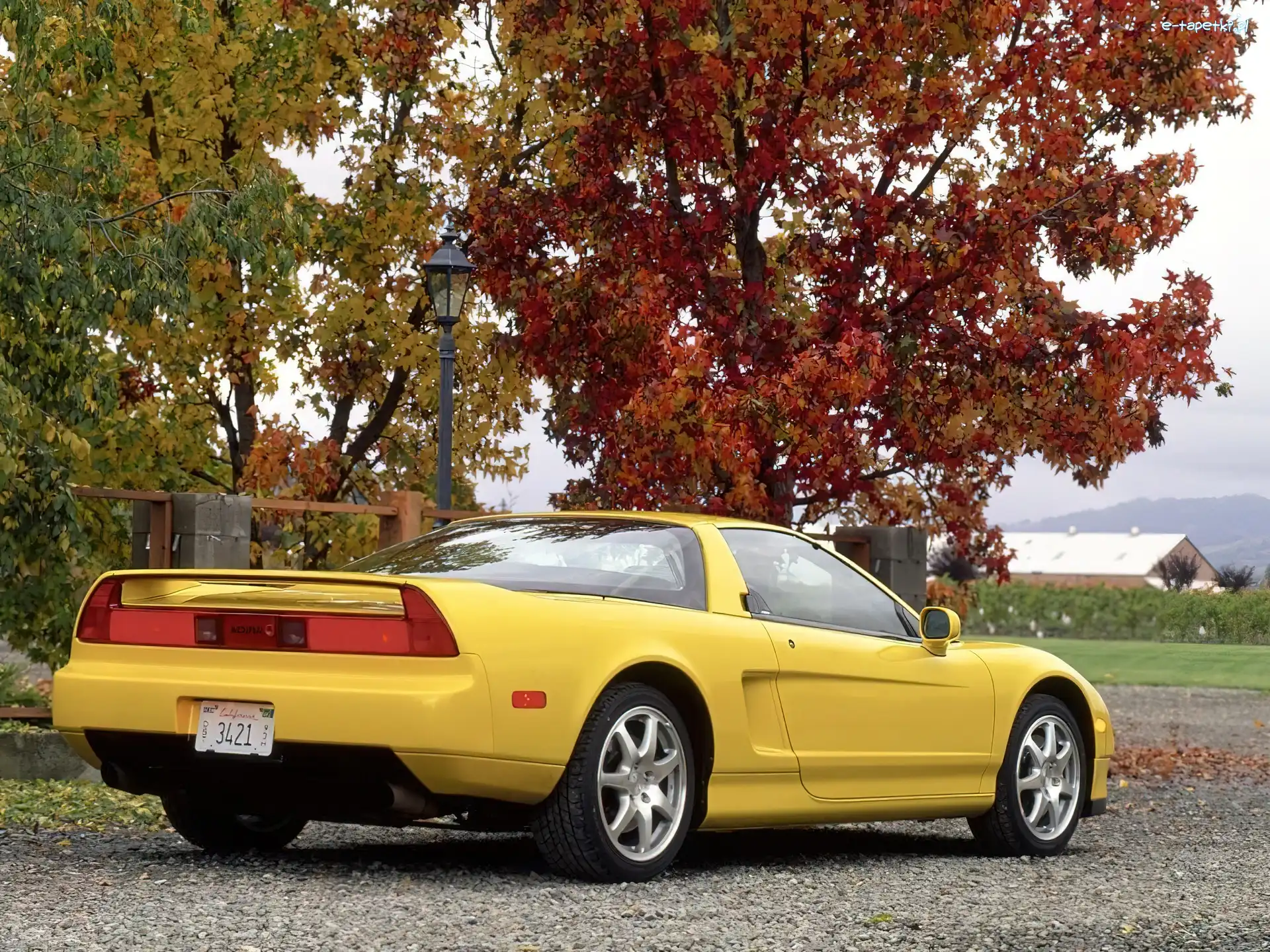 Żółta, NSX, Honda